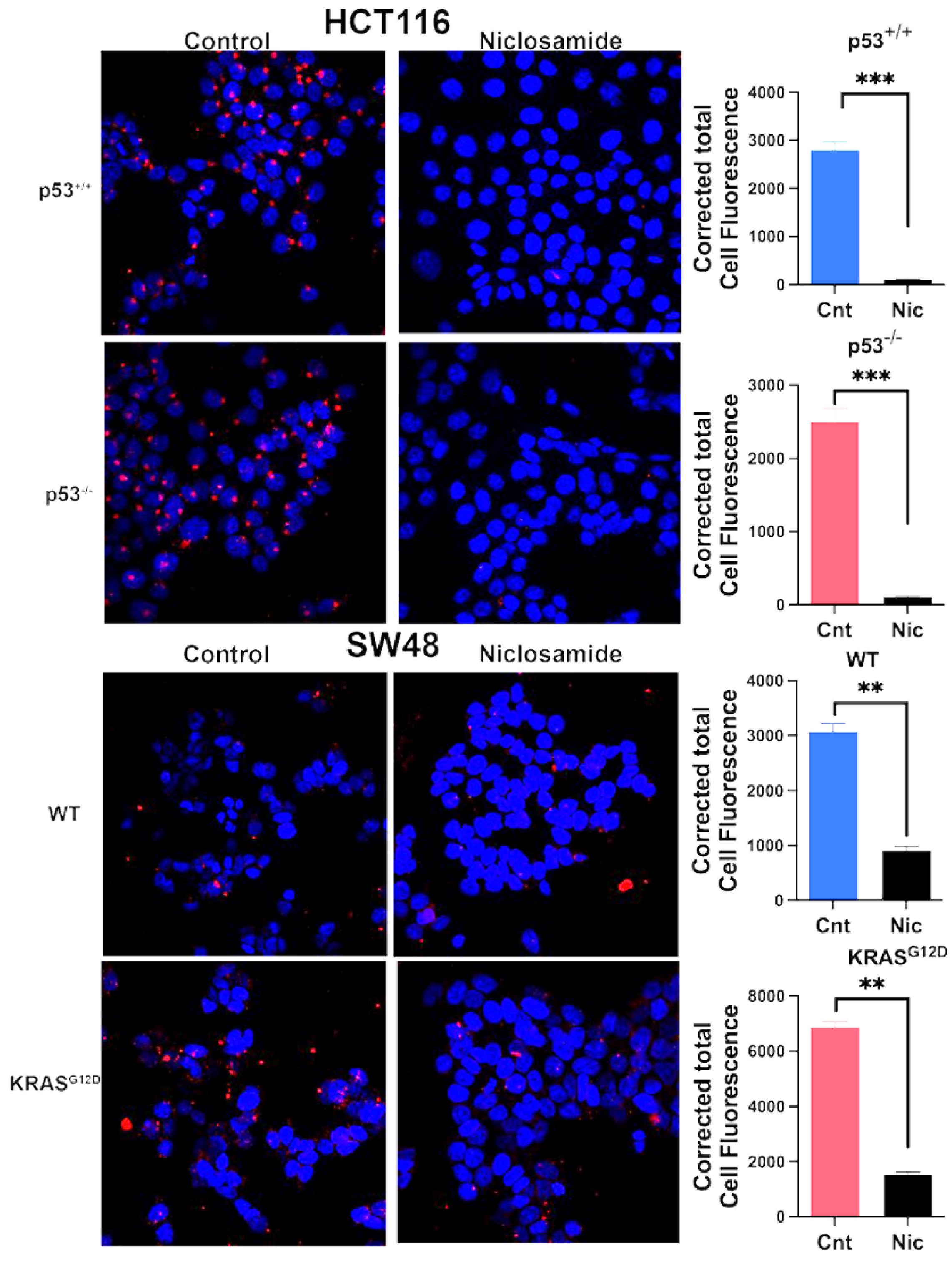 Preprints 108471 g009