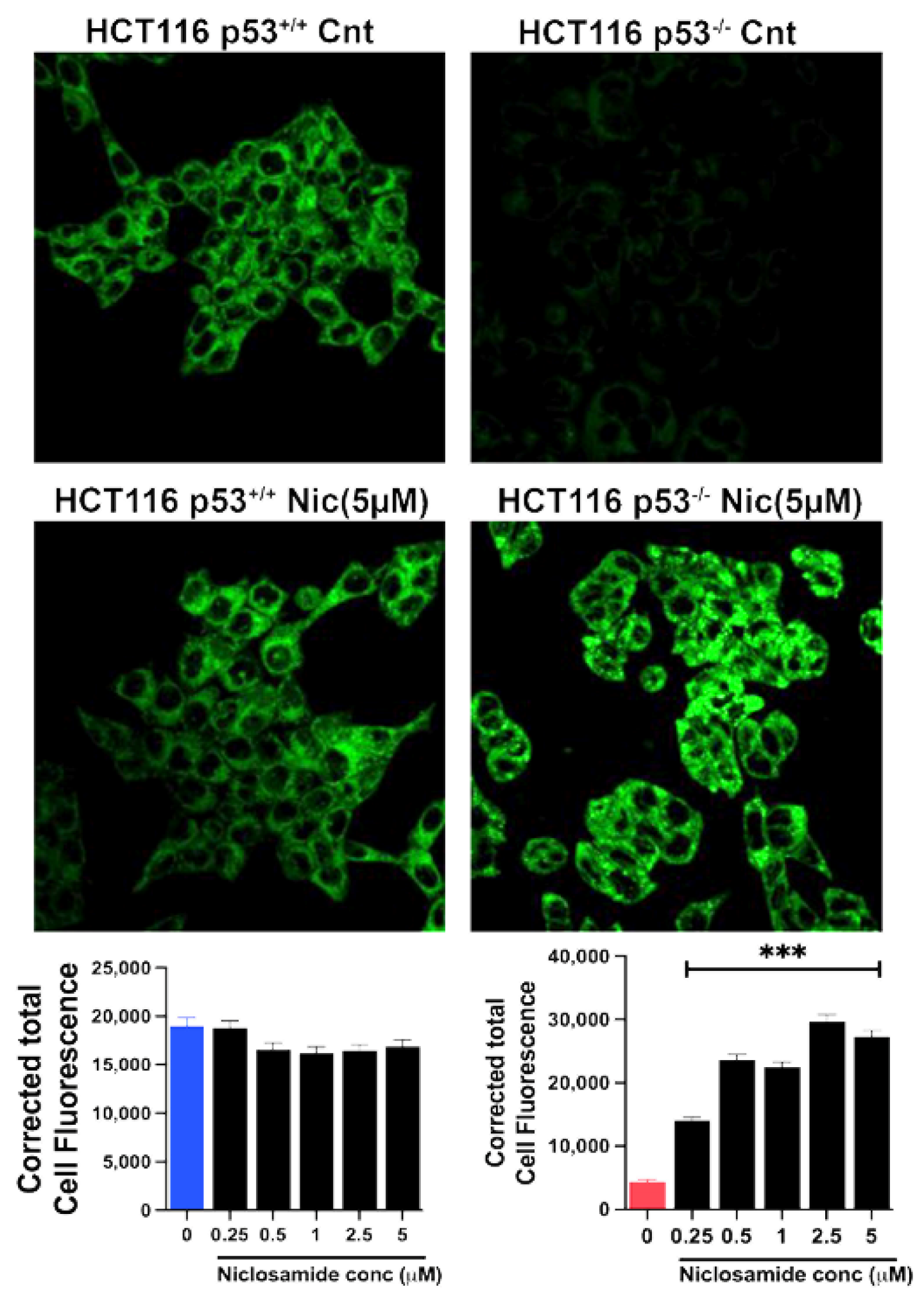 Preprints 108471 g010