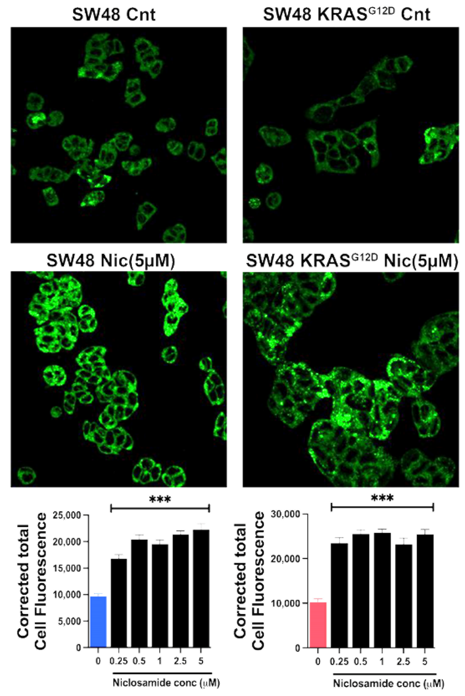 Preprints 108471 g011