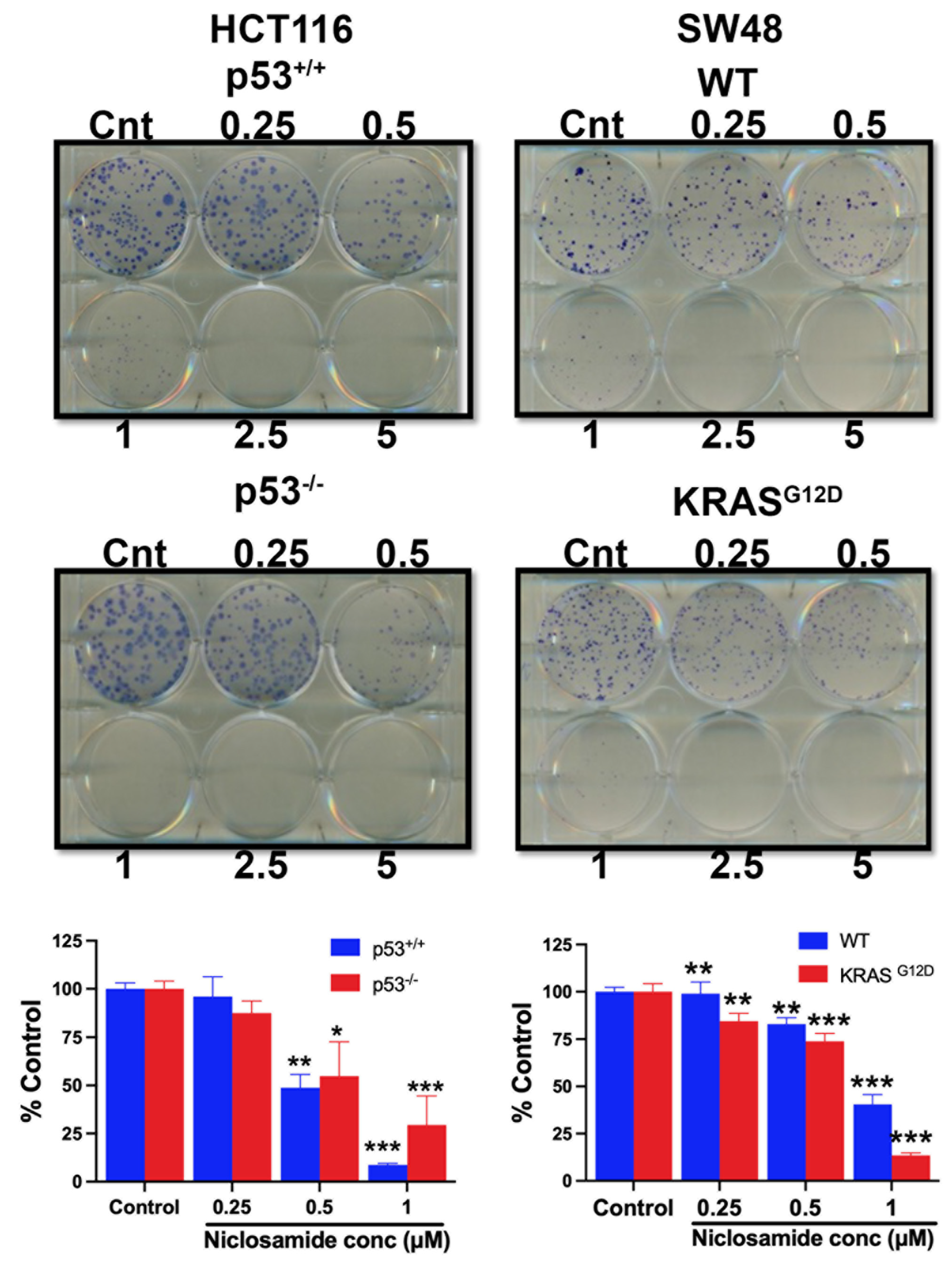 Preprints 108471 g016