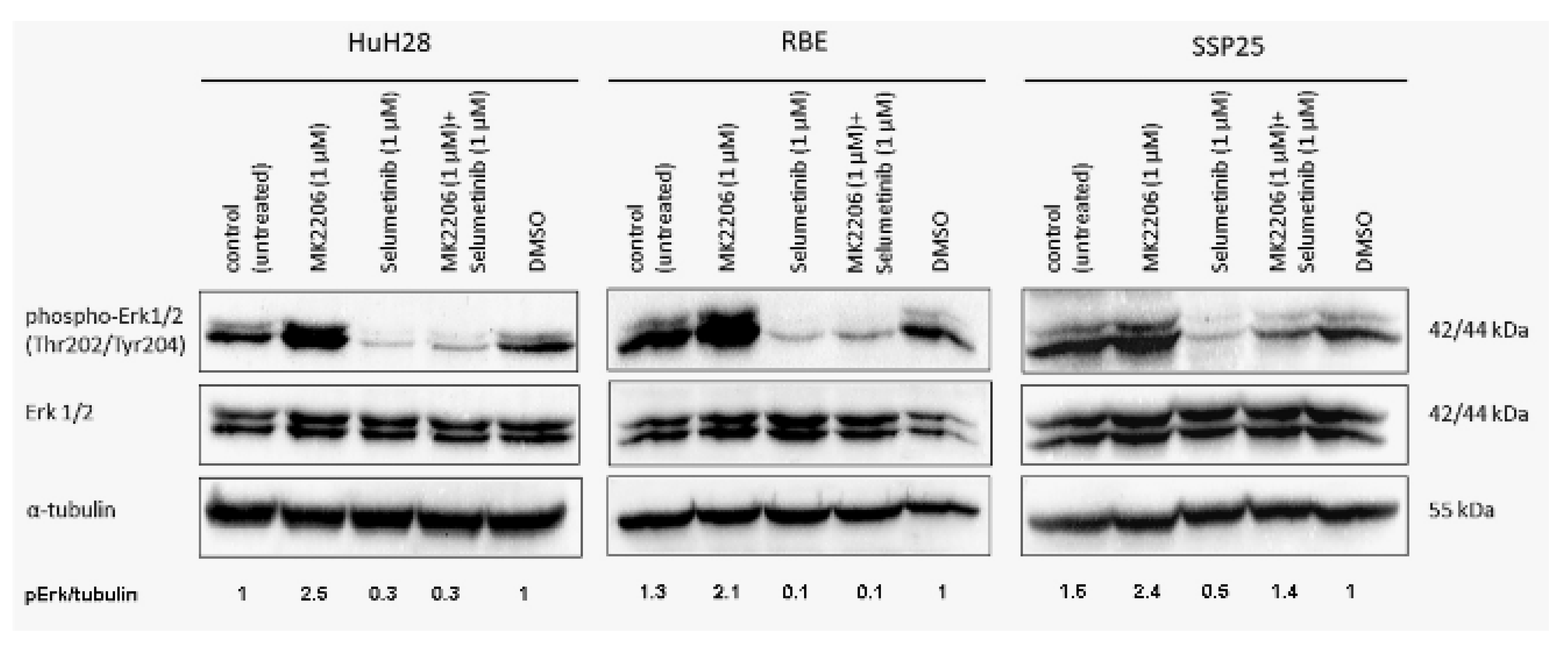 Preprints 100538 g006