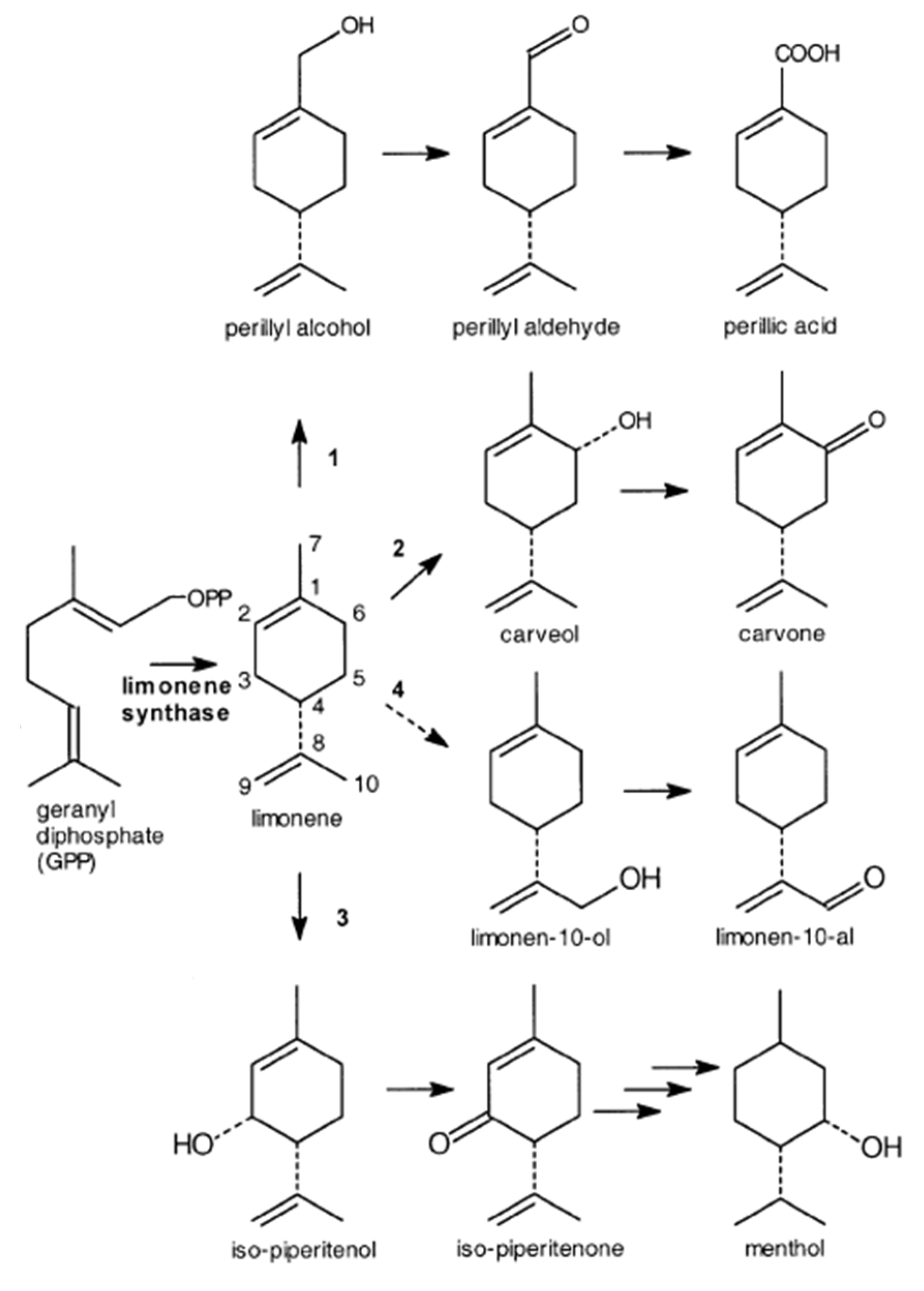 Preprints 82986 g002