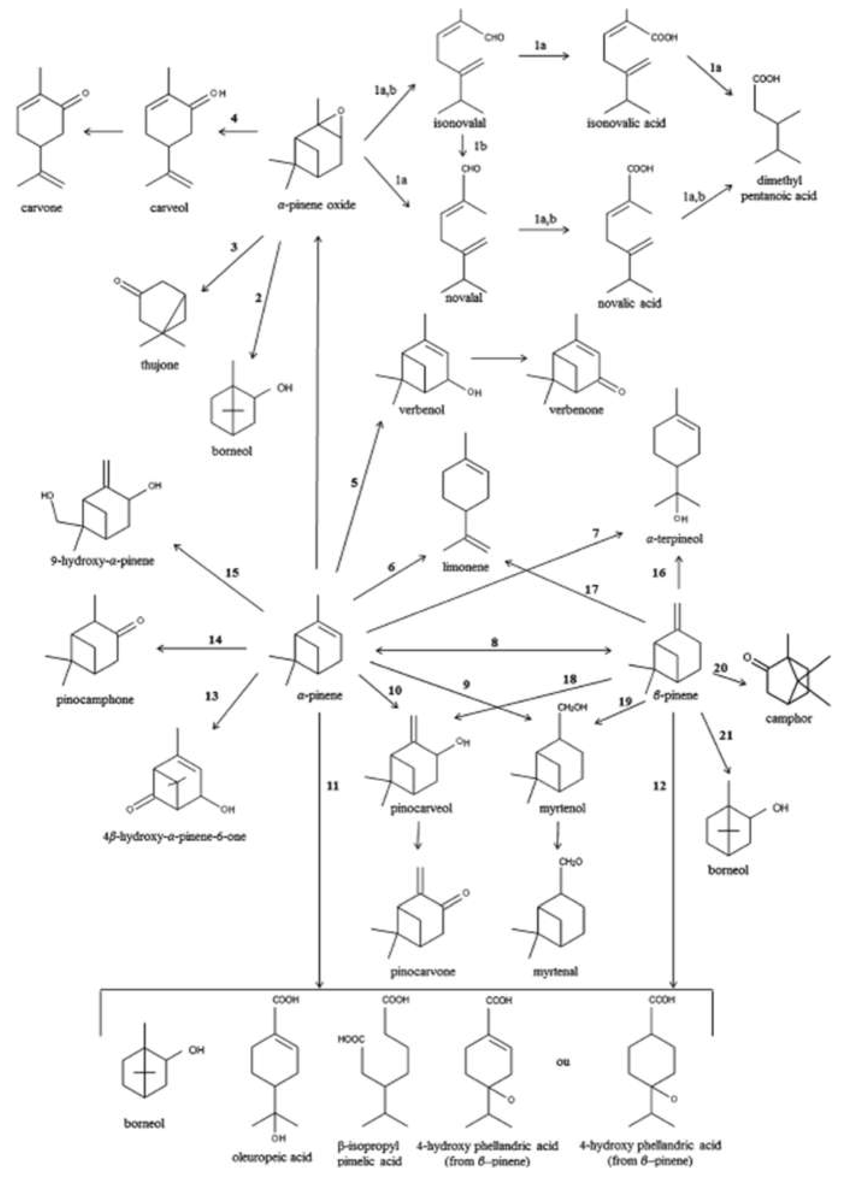 Preprints 82986 g003