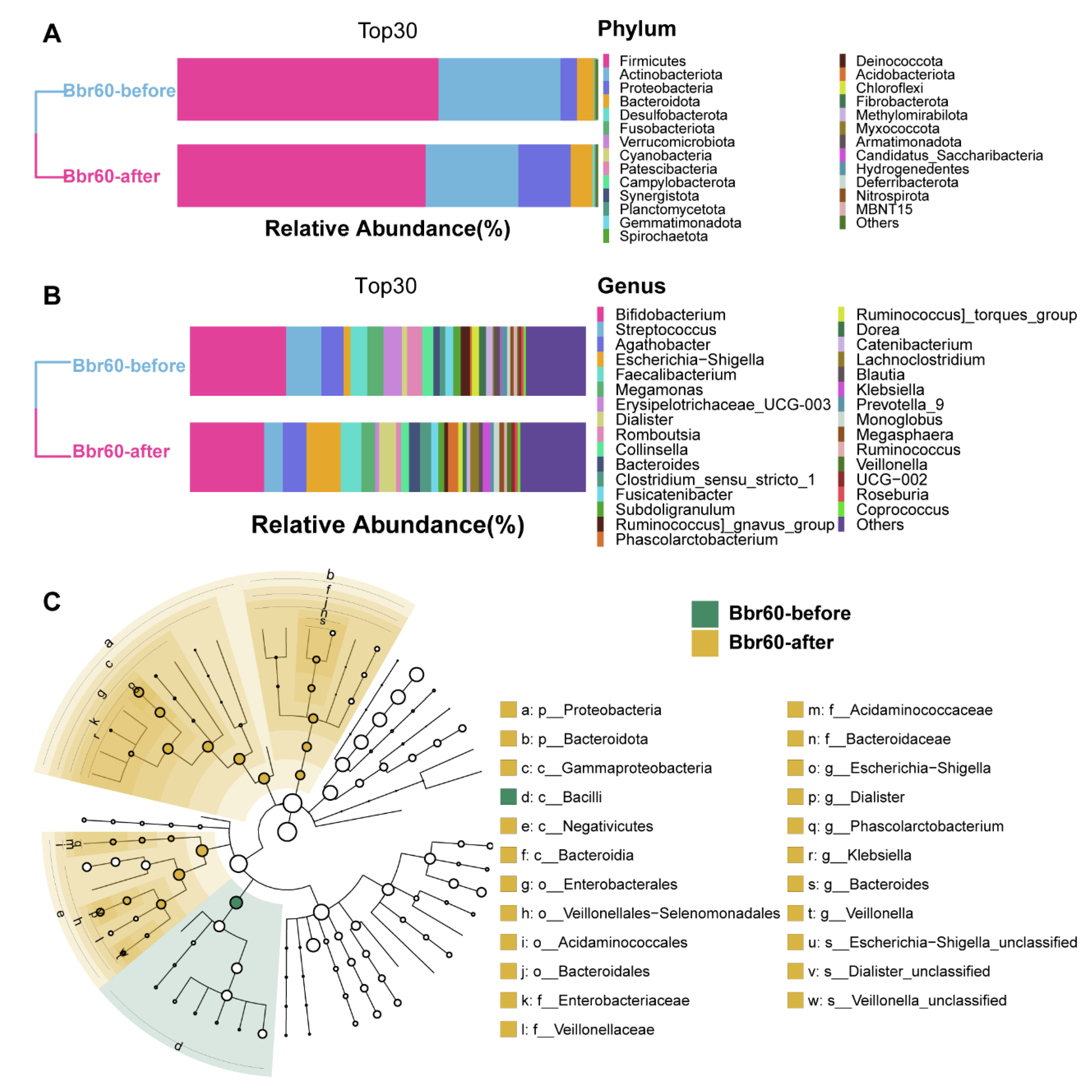 Preprints 117792 g007