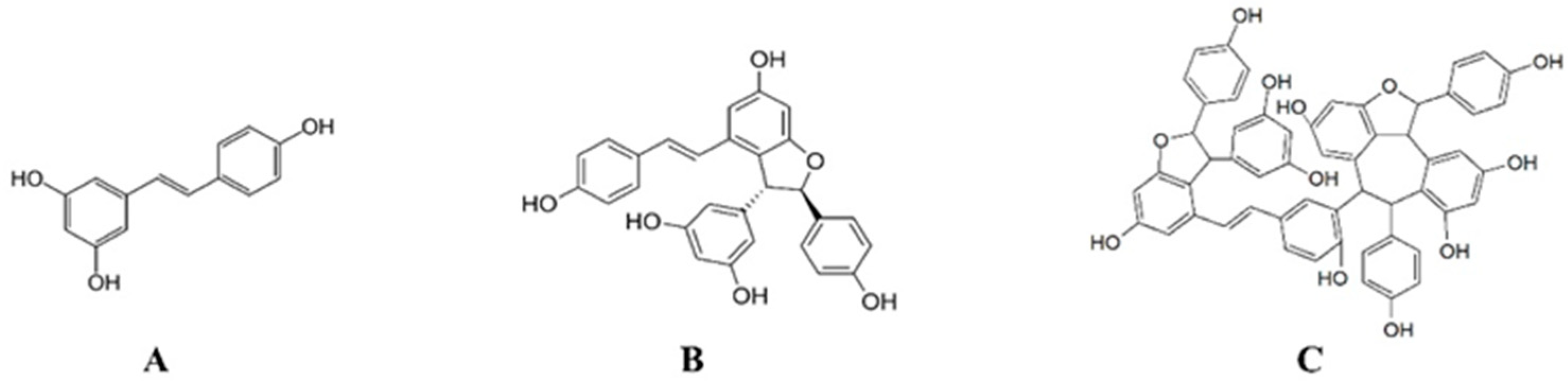 Preprints 87664 g001