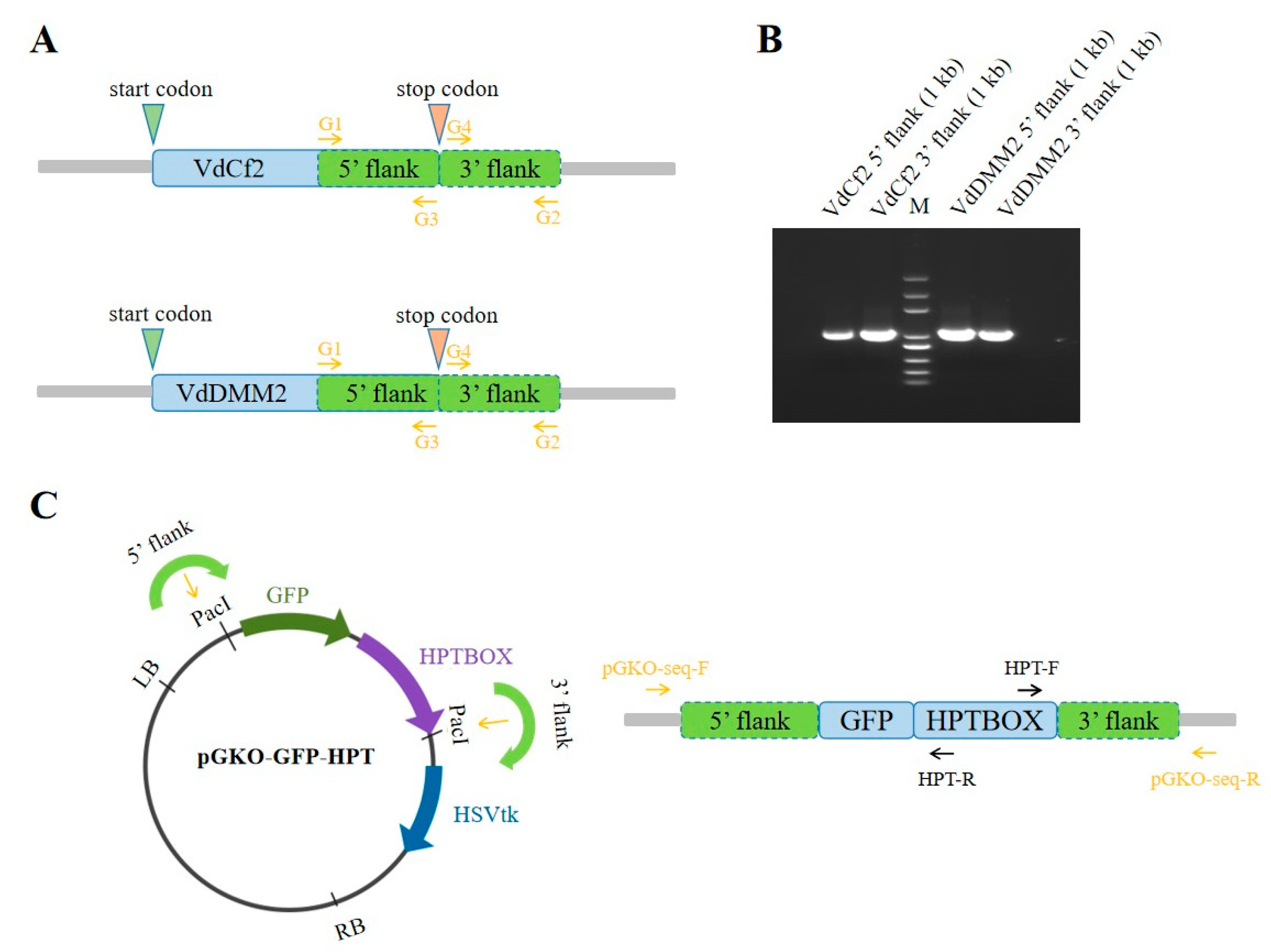 Preprints 93899 g002