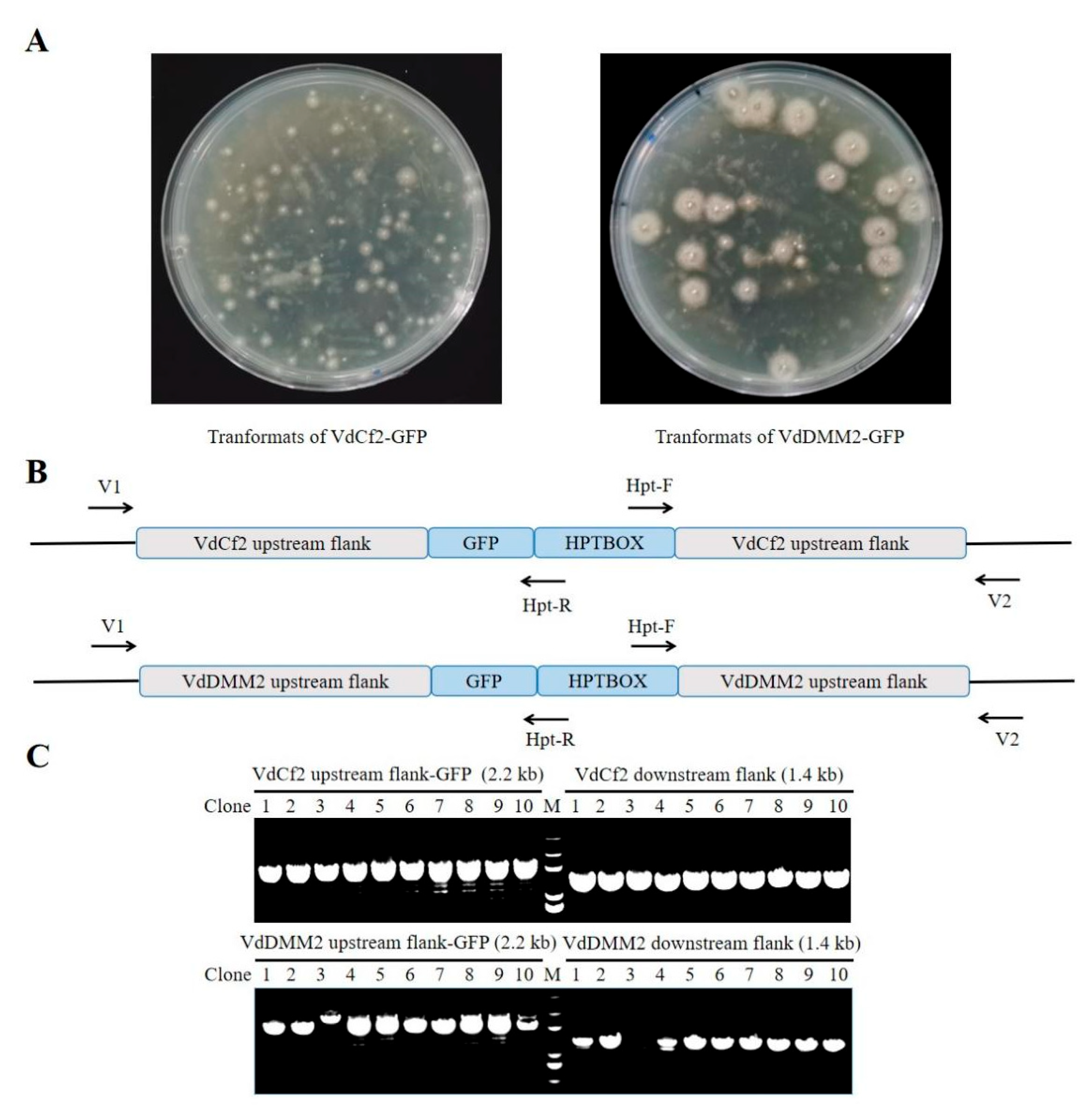 Preprints 93899 g003