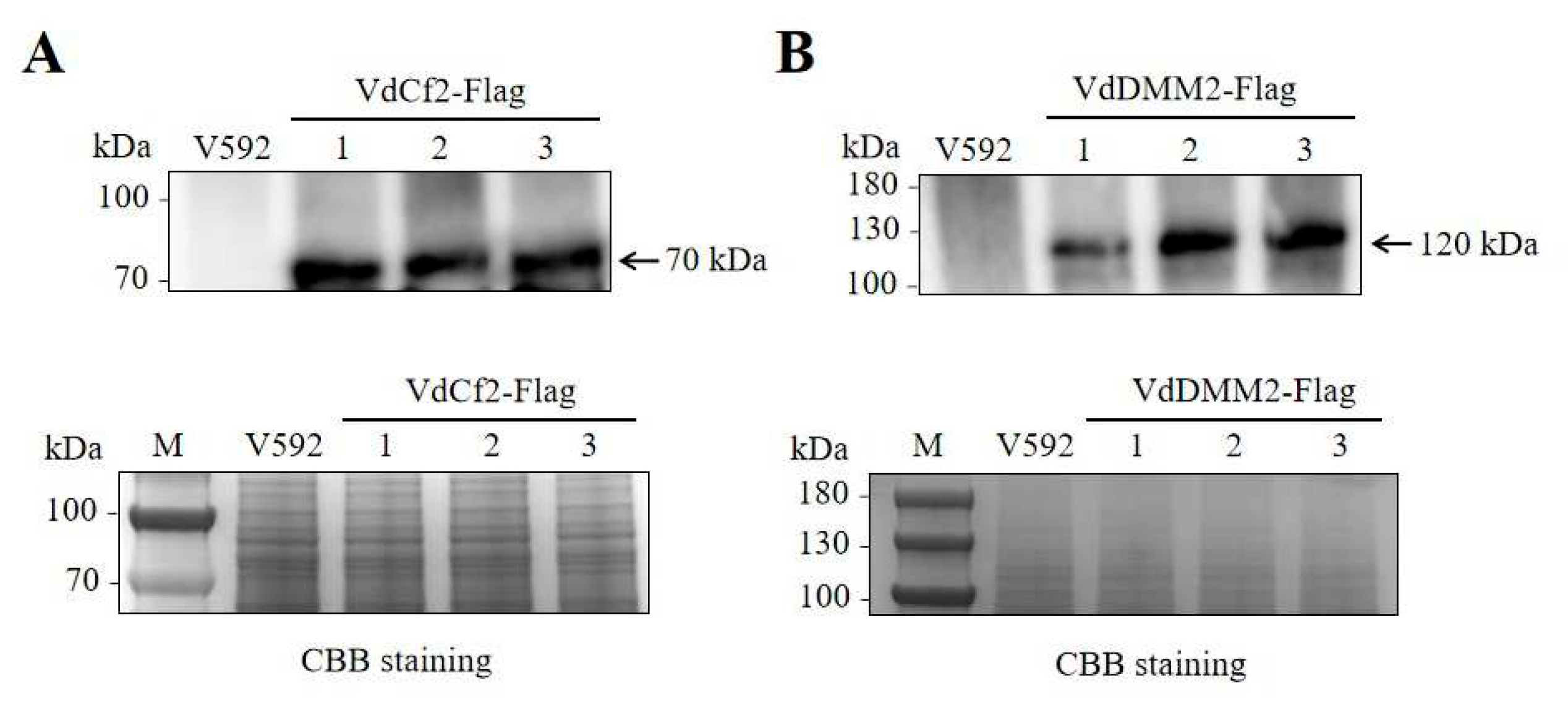 Preprints 93899 g006