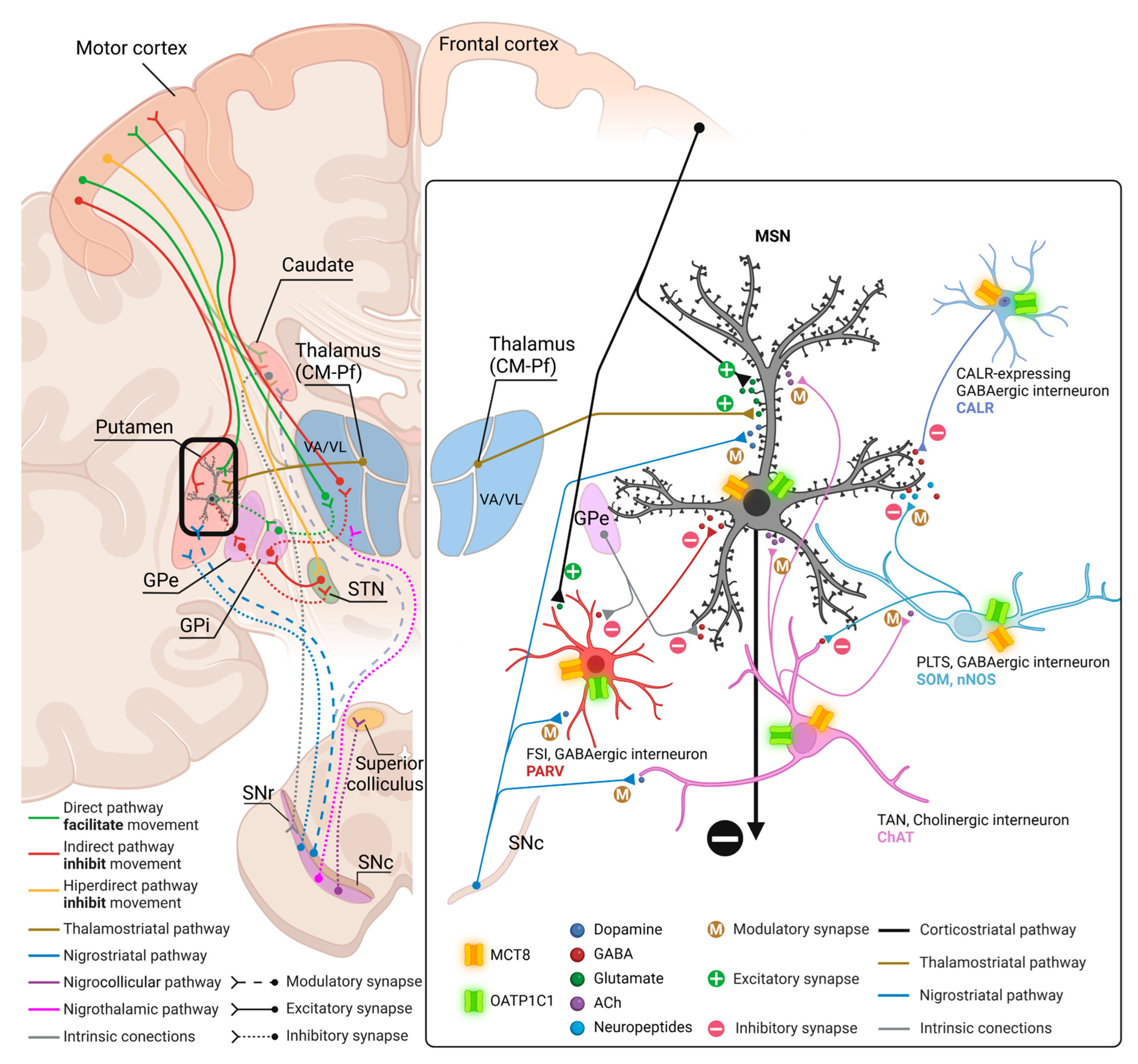 Preprints 71373 g015