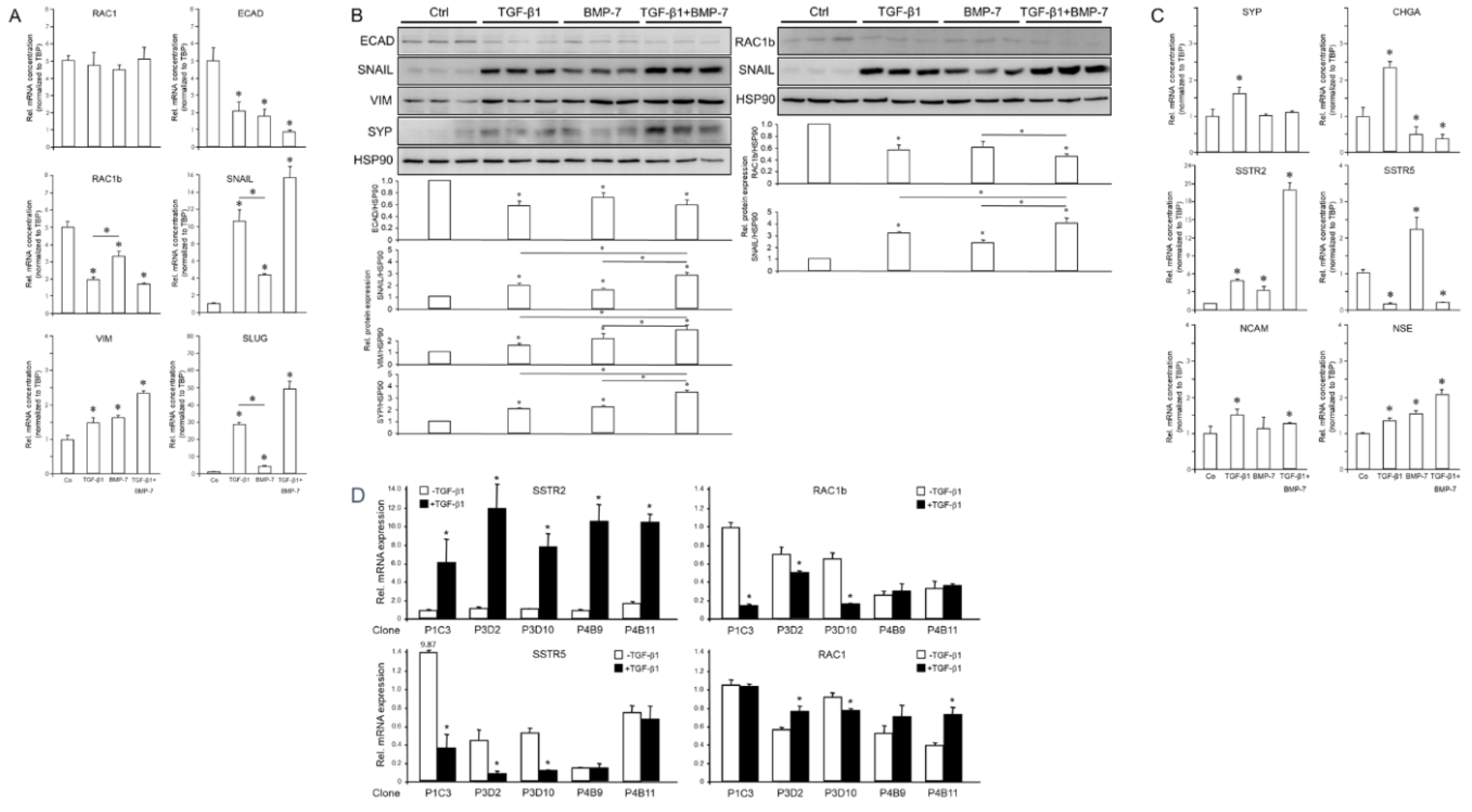 Preprints 112177 g003