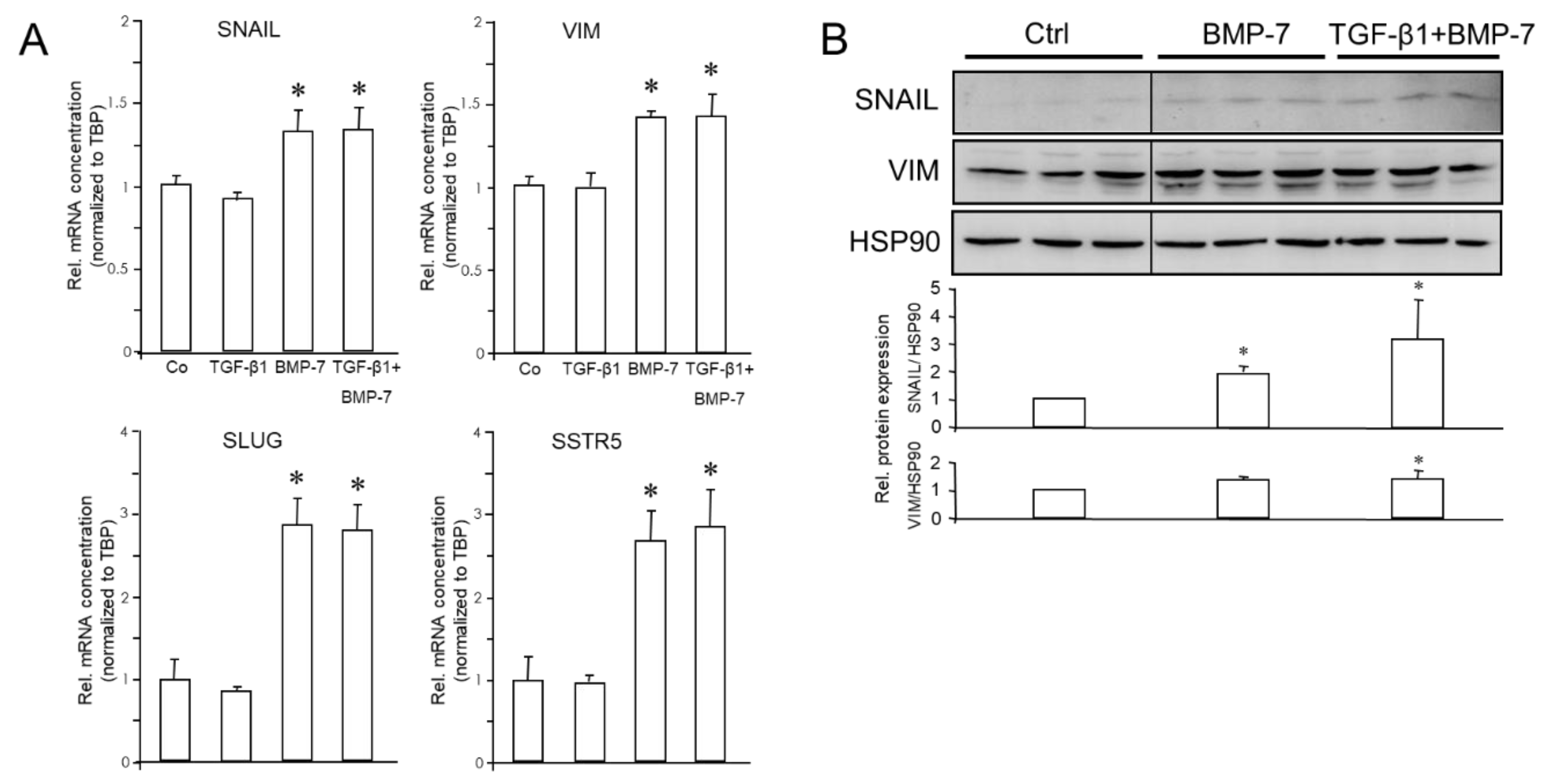 Preprints 112177 g004