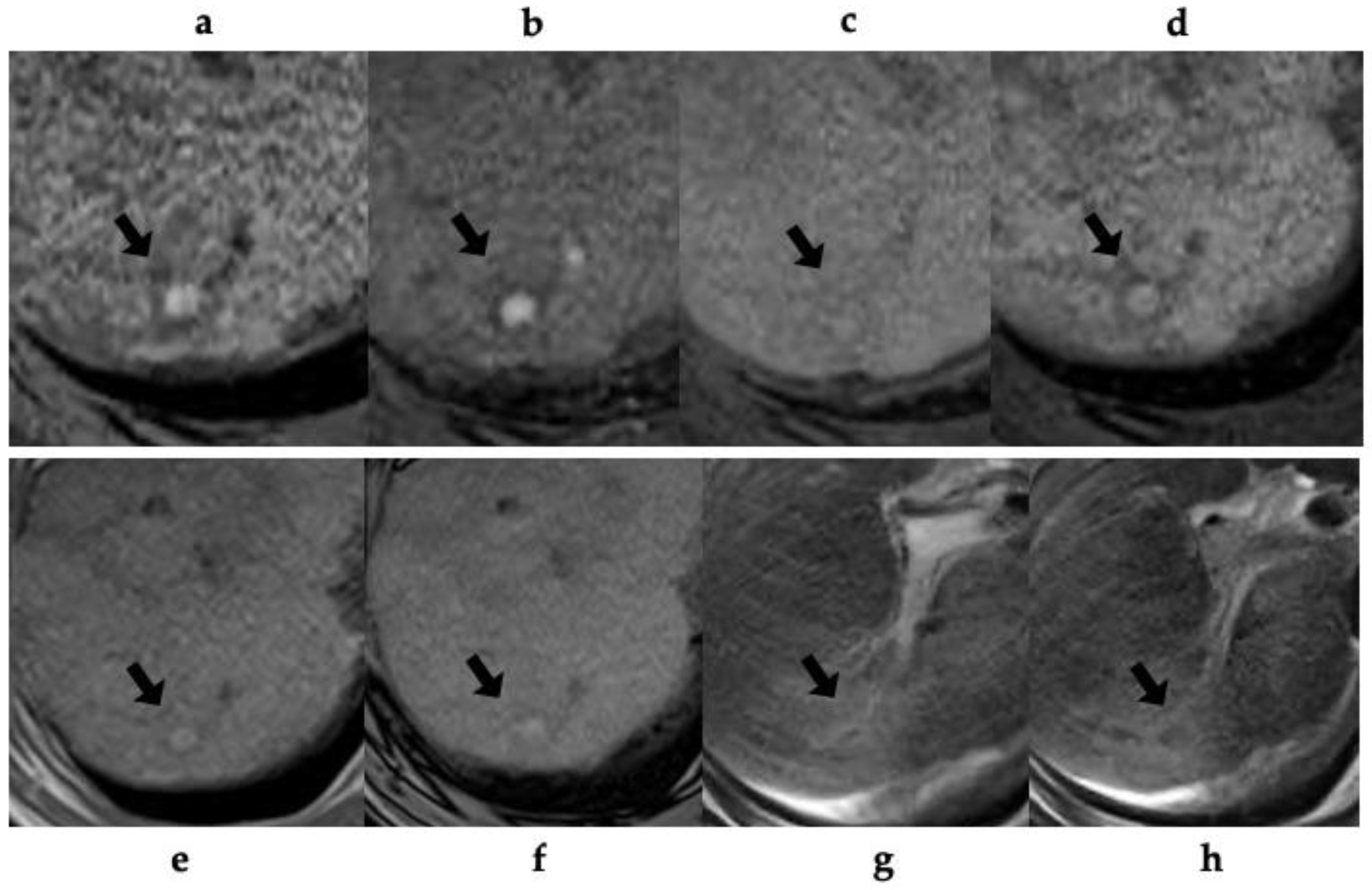 Preprints 93844 g003