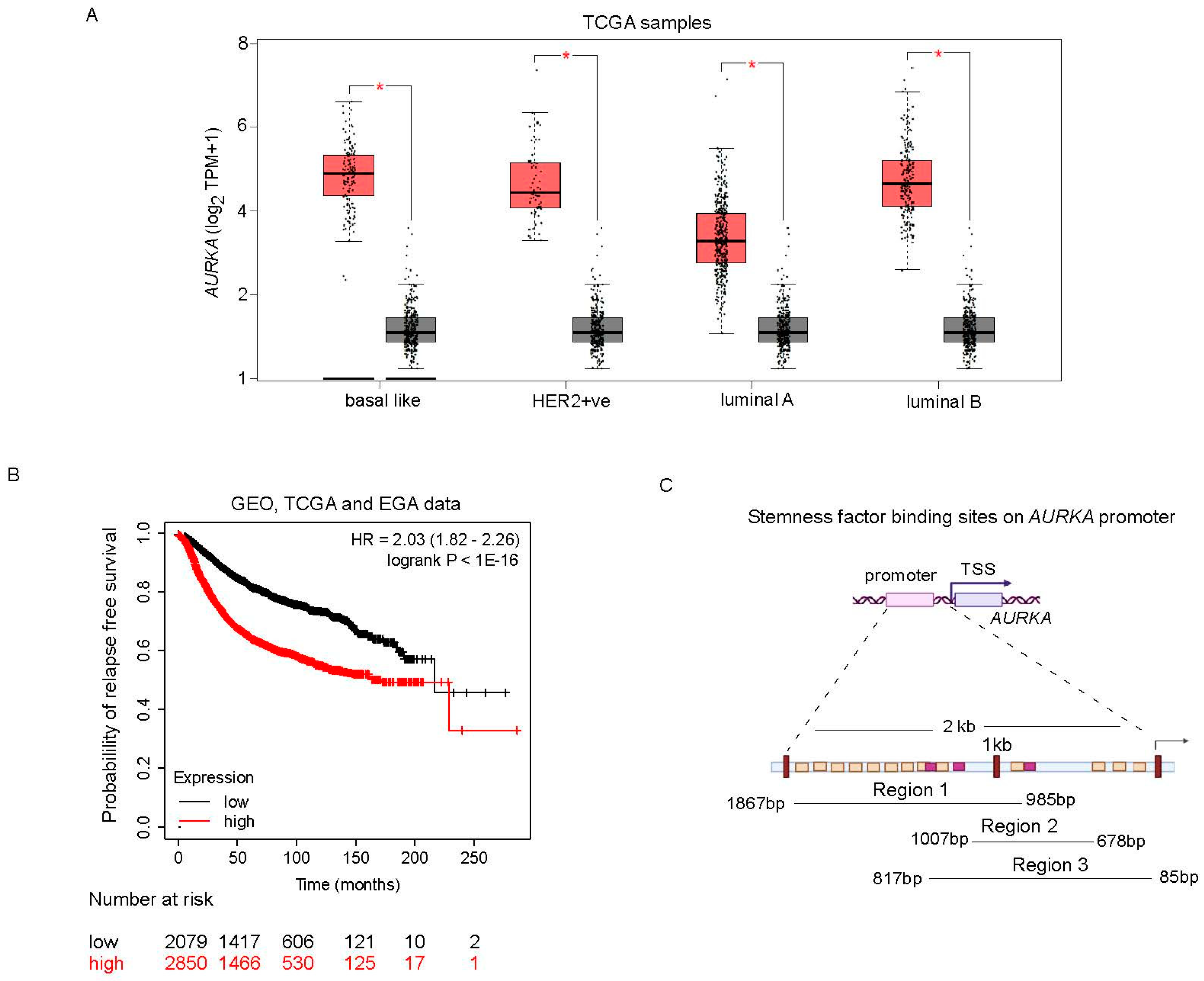 Preprints 86920 g001