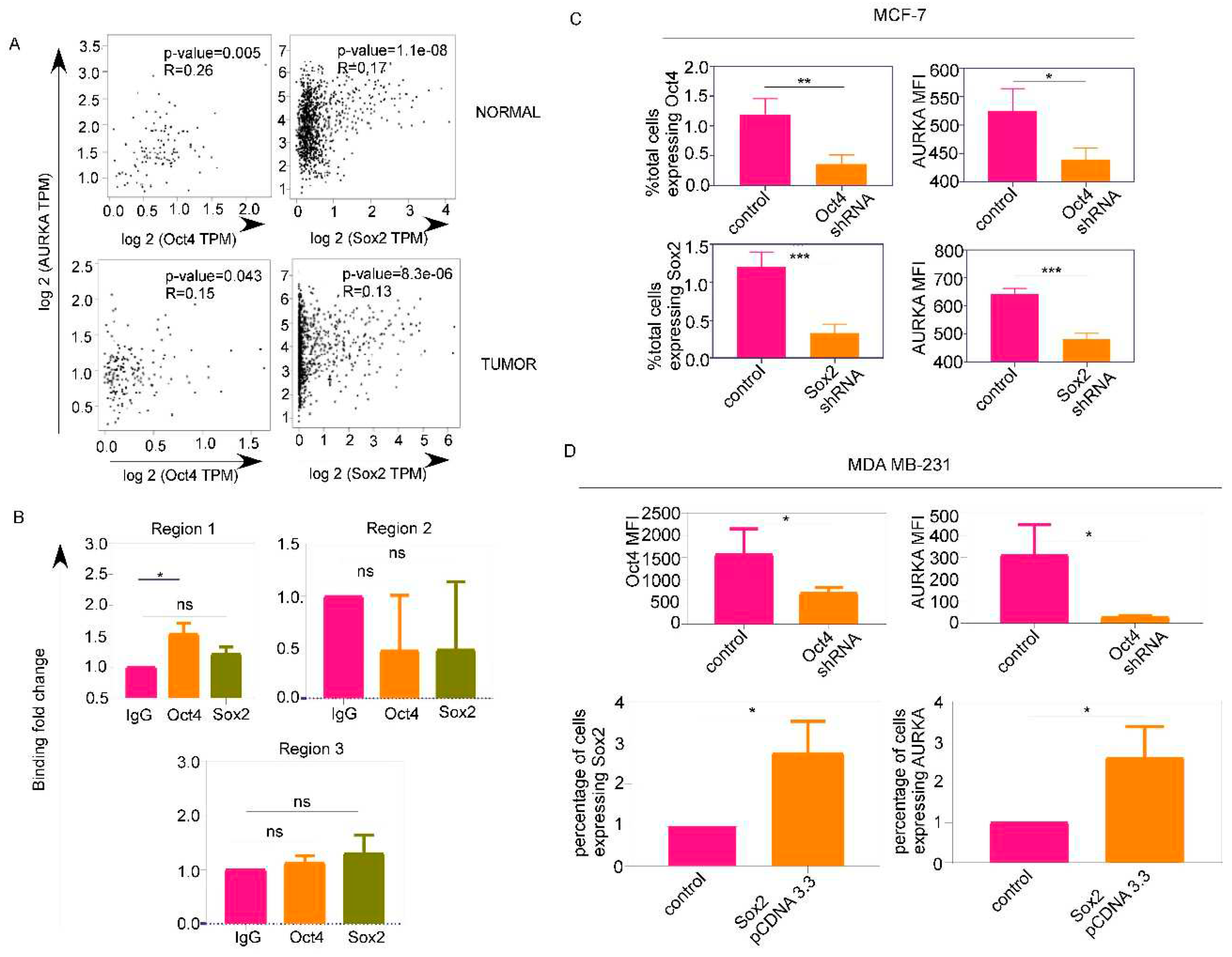 Preprints 86920 g002