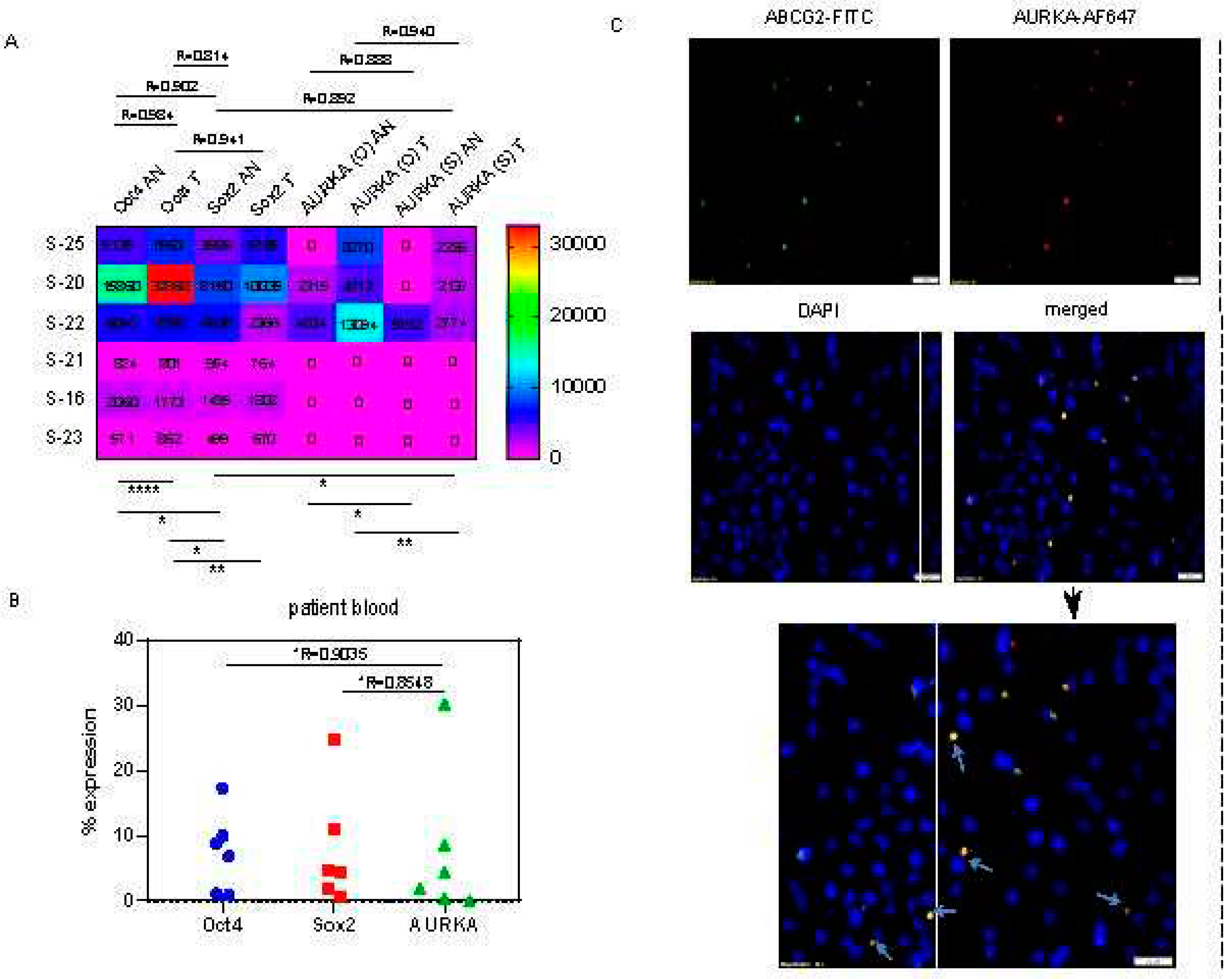 Preprints 86920 g003