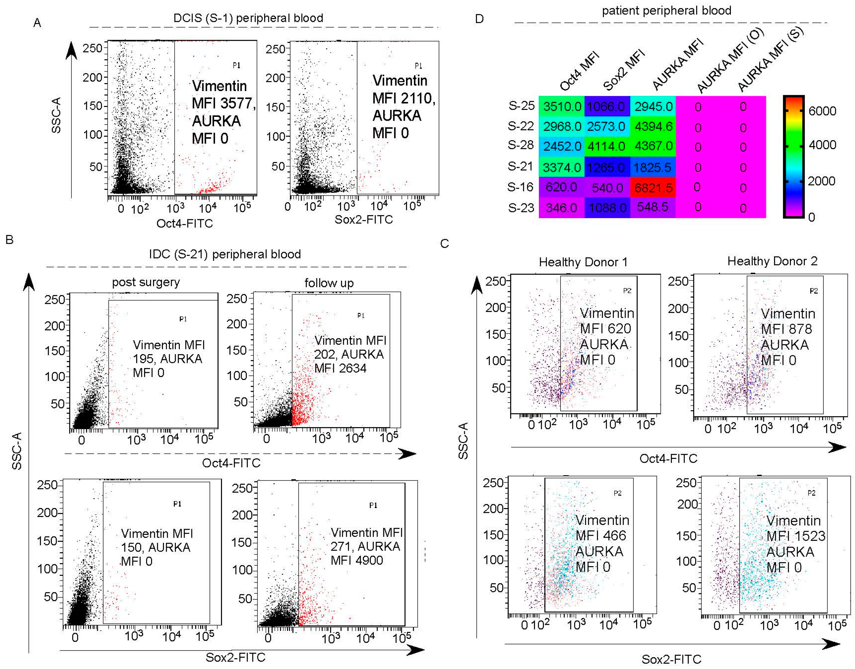 Preprints 86920 g006