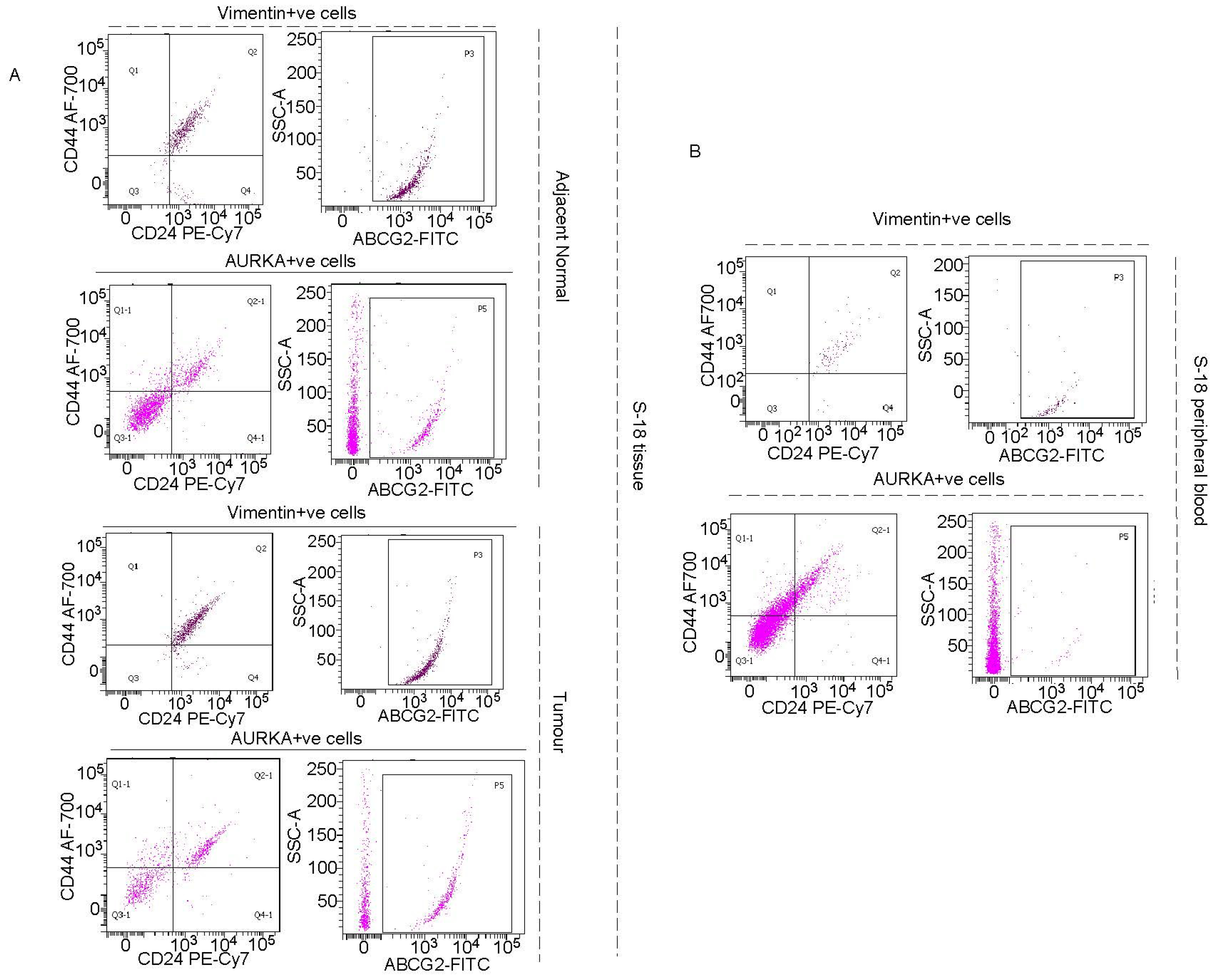 Preprints 86920 g007