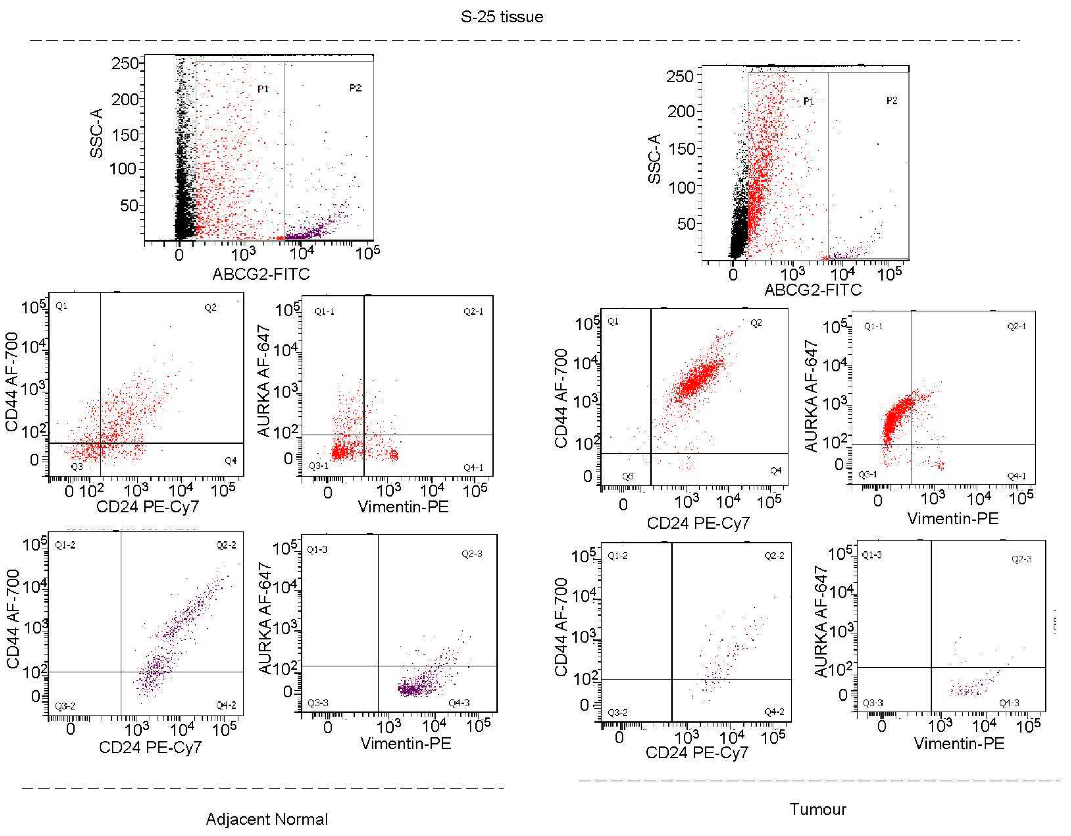 Preprints 86920 g008