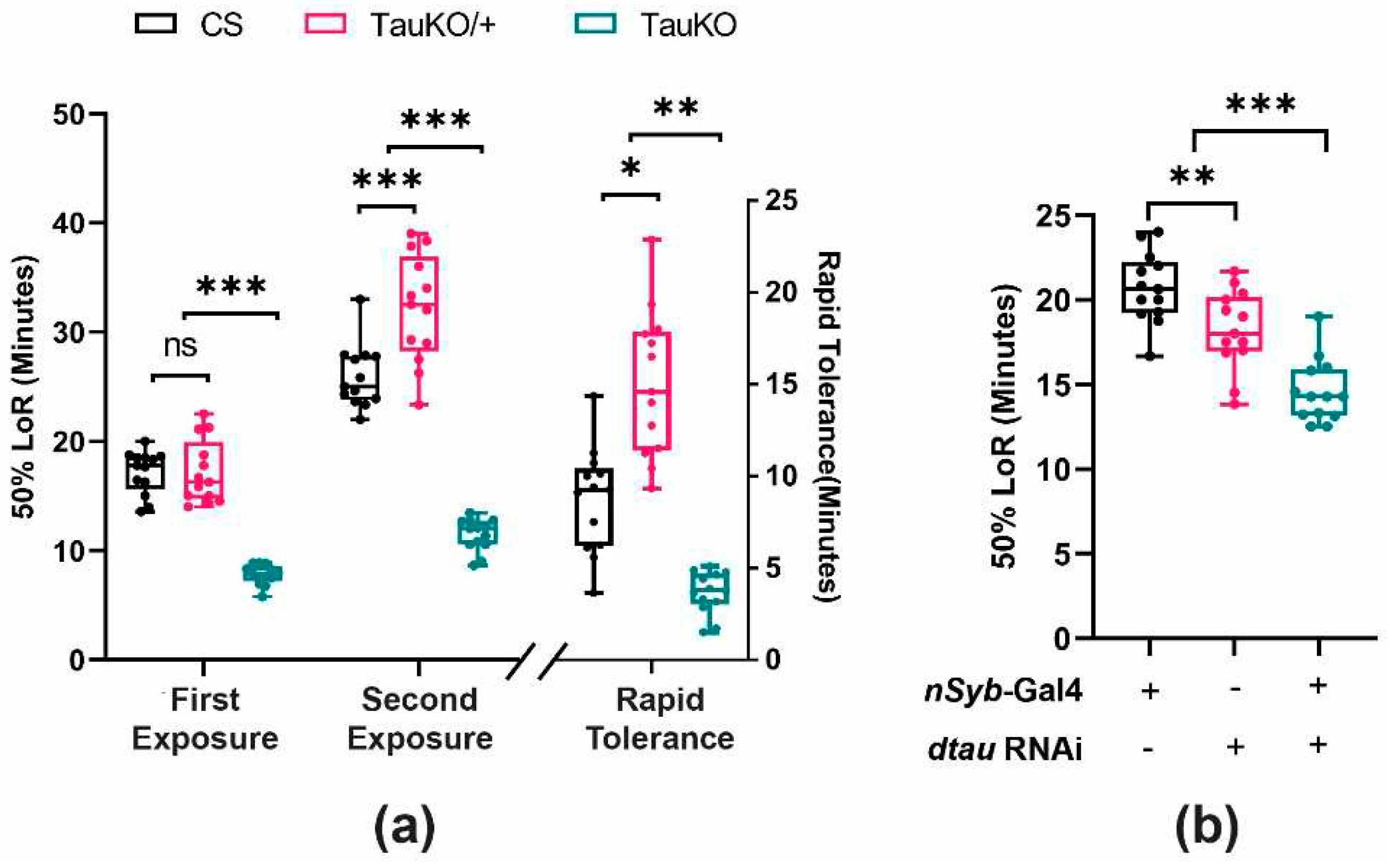 Preprints 97986 g006