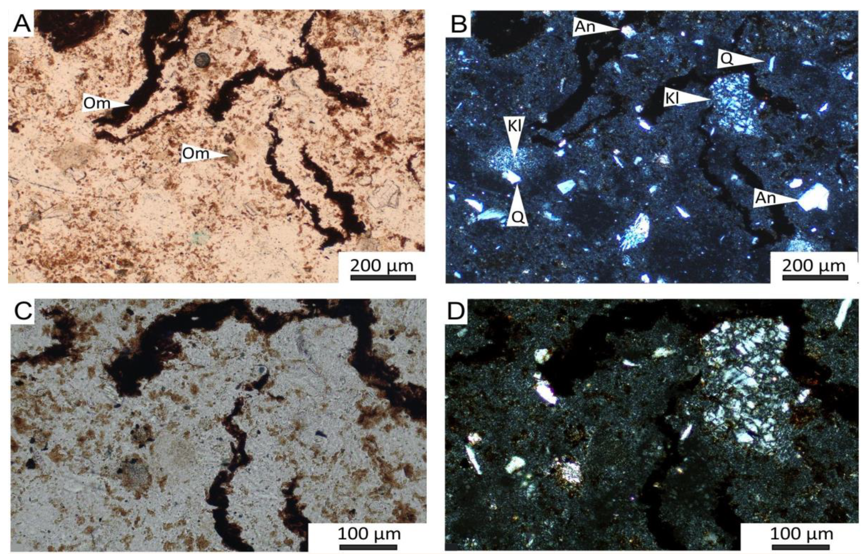 Preprints 112948 g011