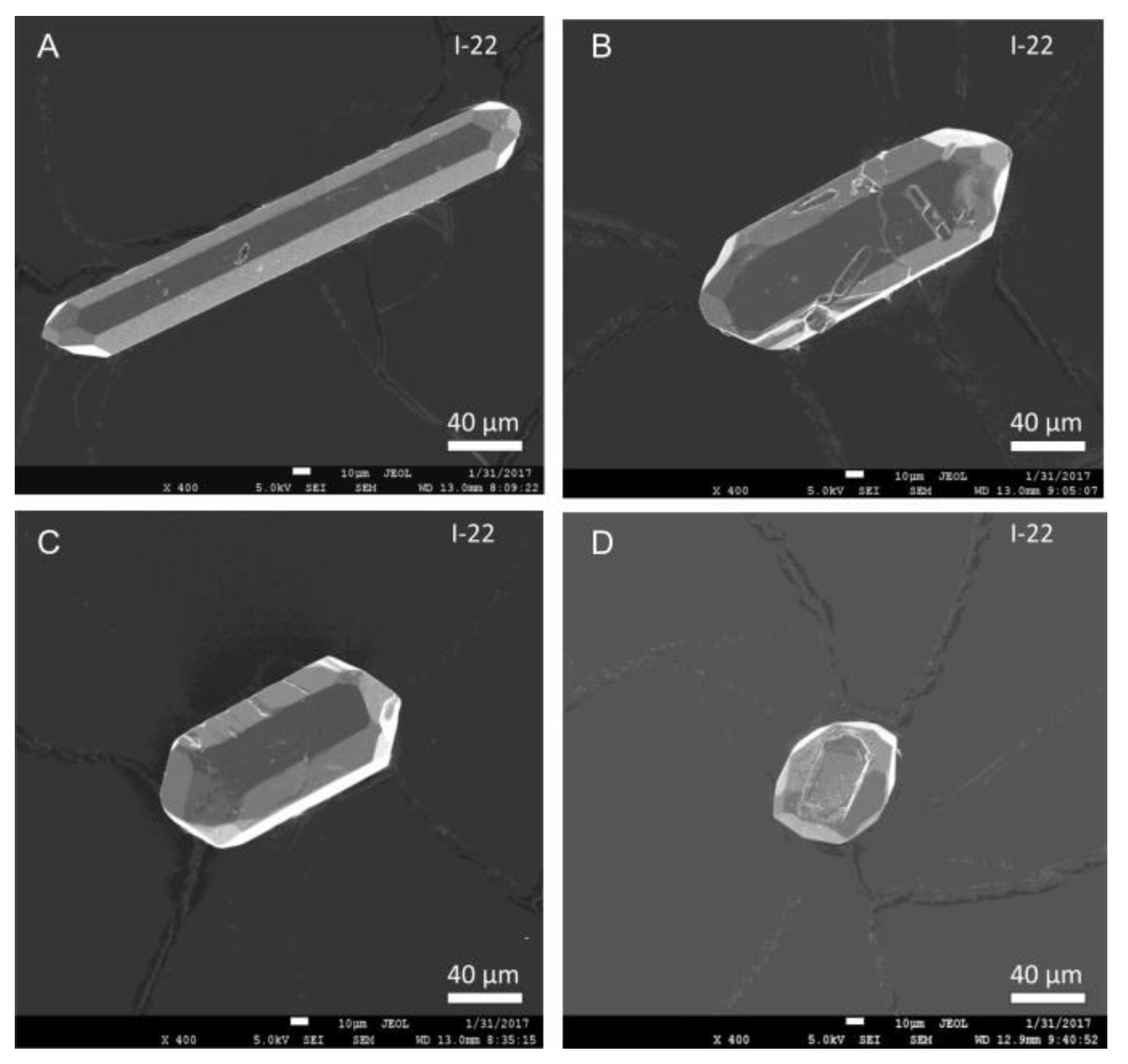 Preprints 112948 g012