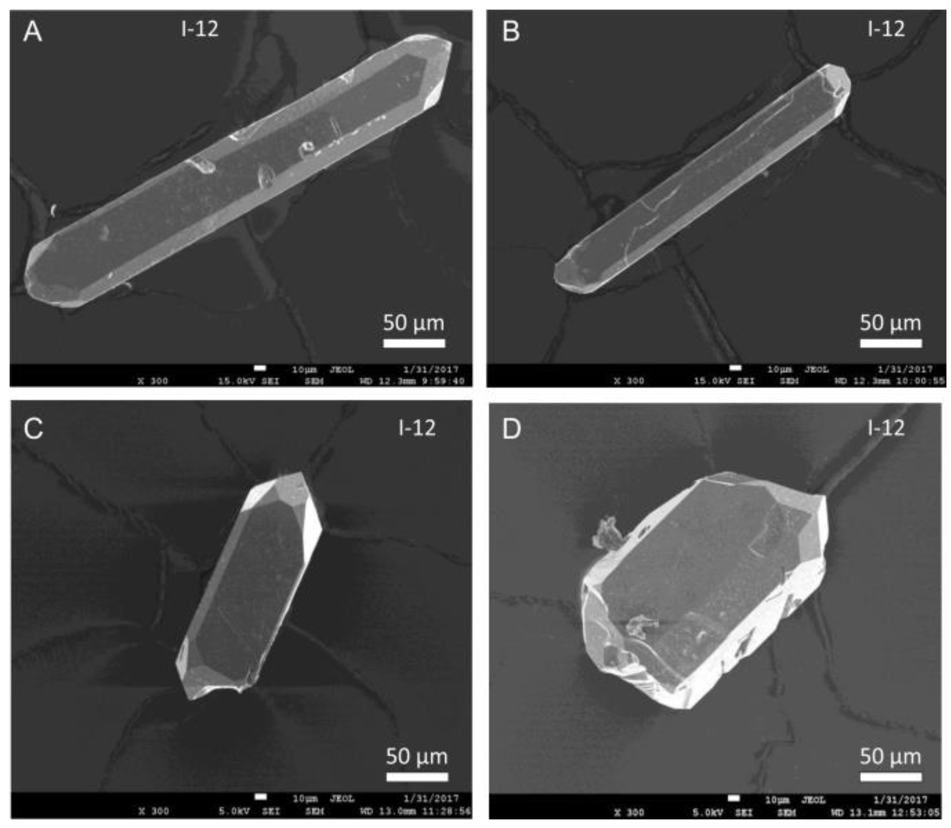 Preprints 112948 g013