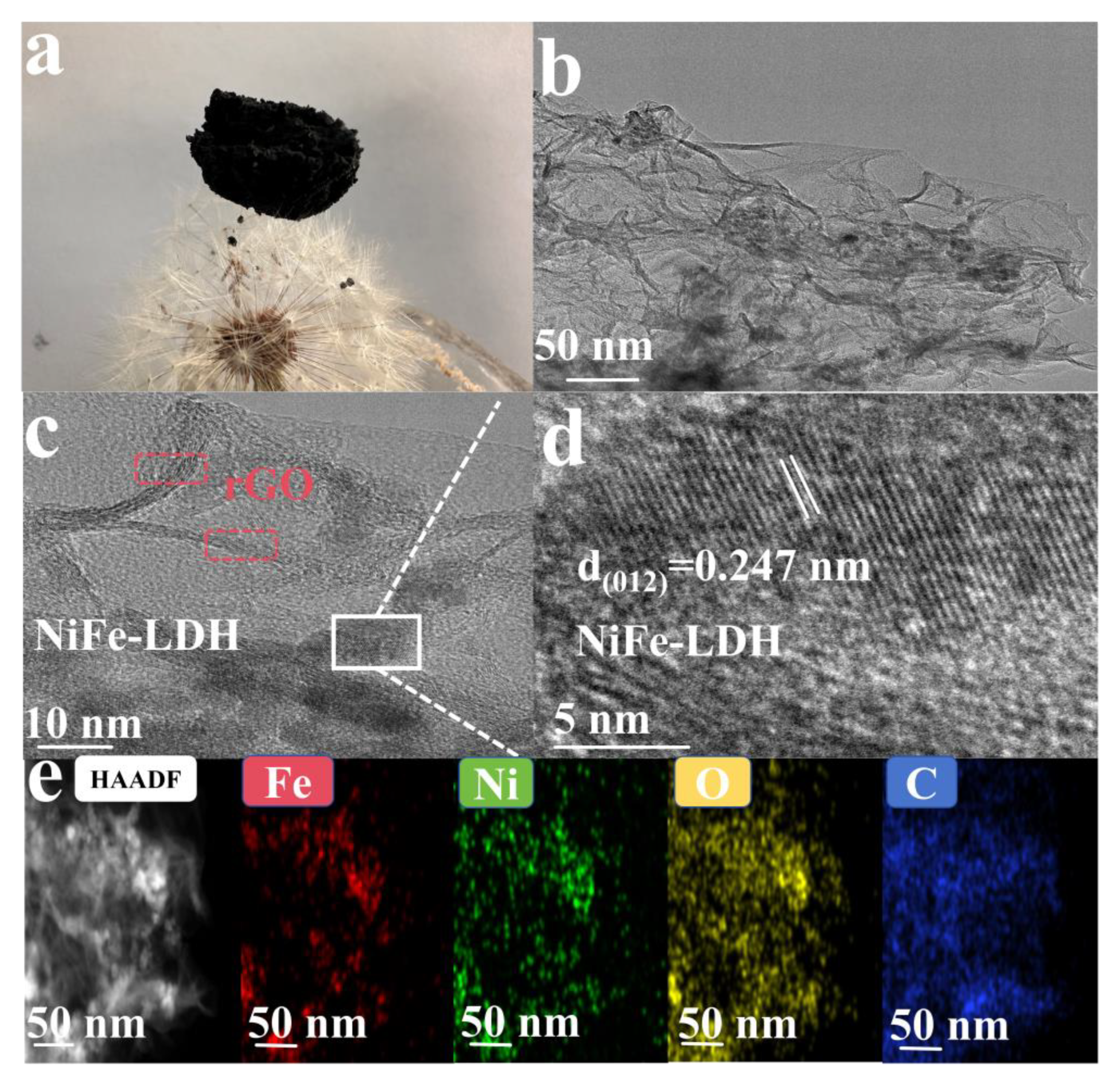 Preprints 119709 g003