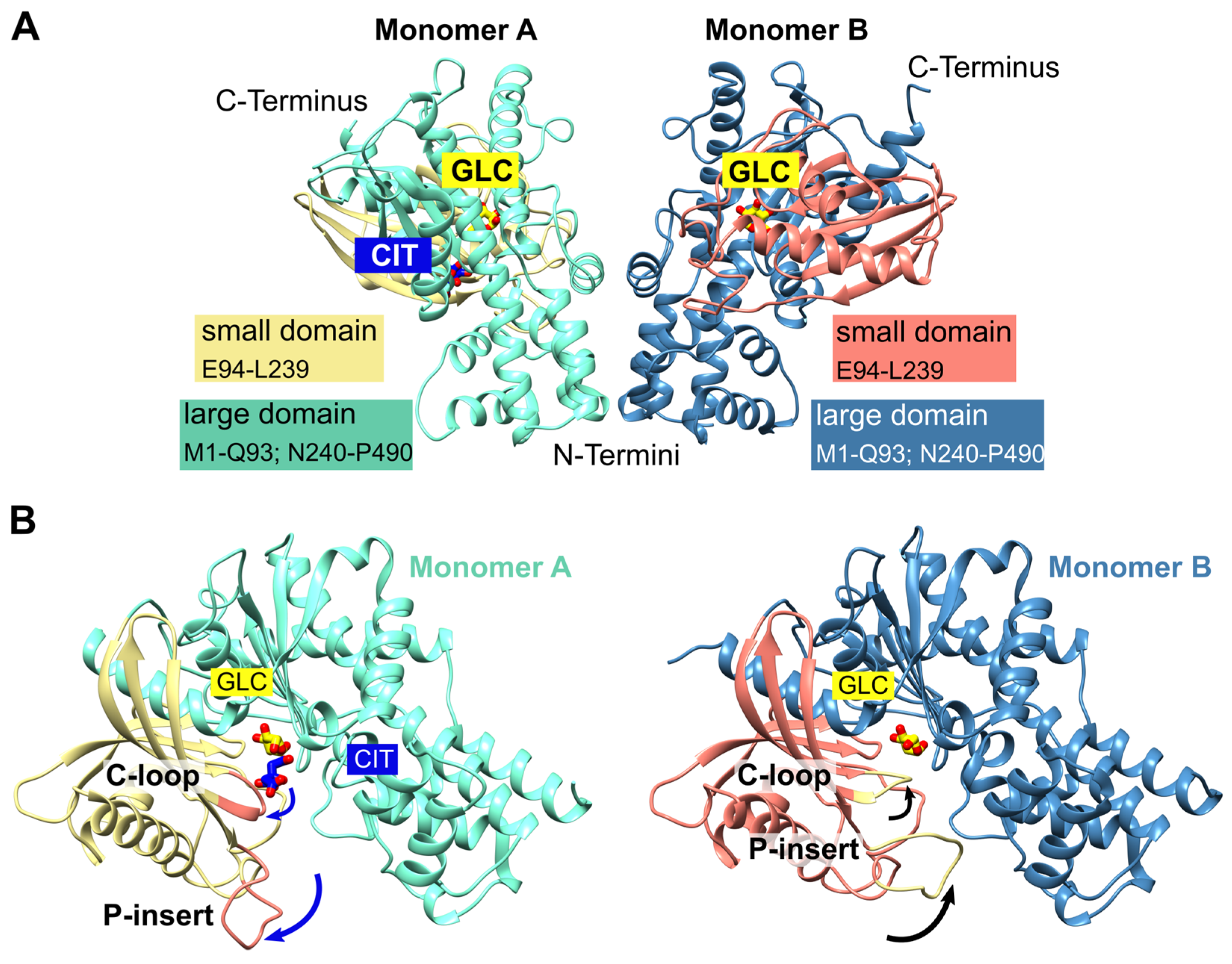 Preprints 81267 g001