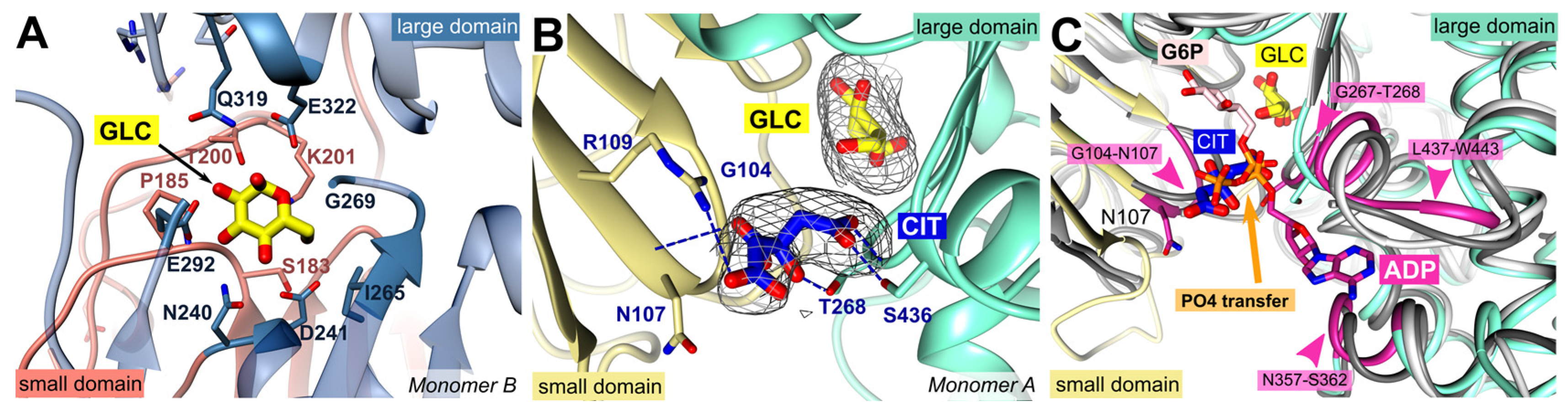 Preprints 81267 g002