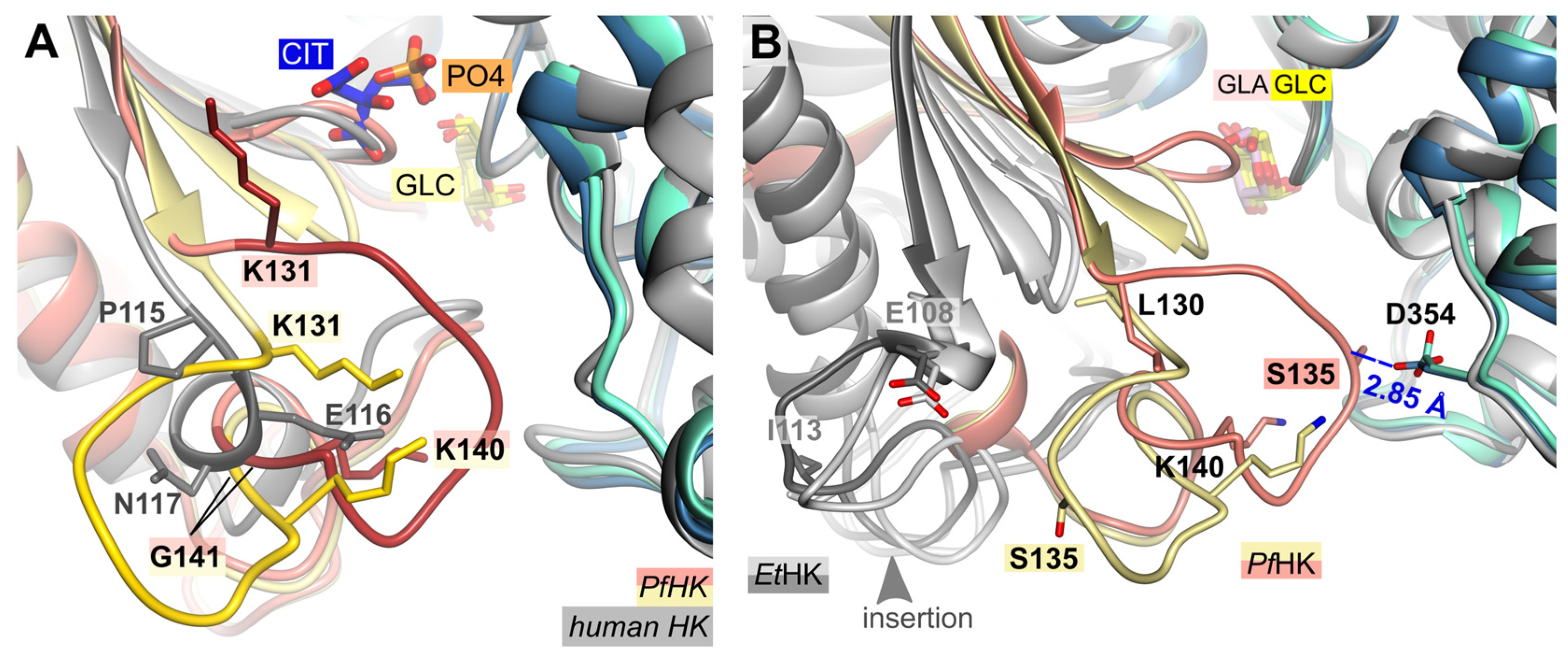 Preprints 81267 g003