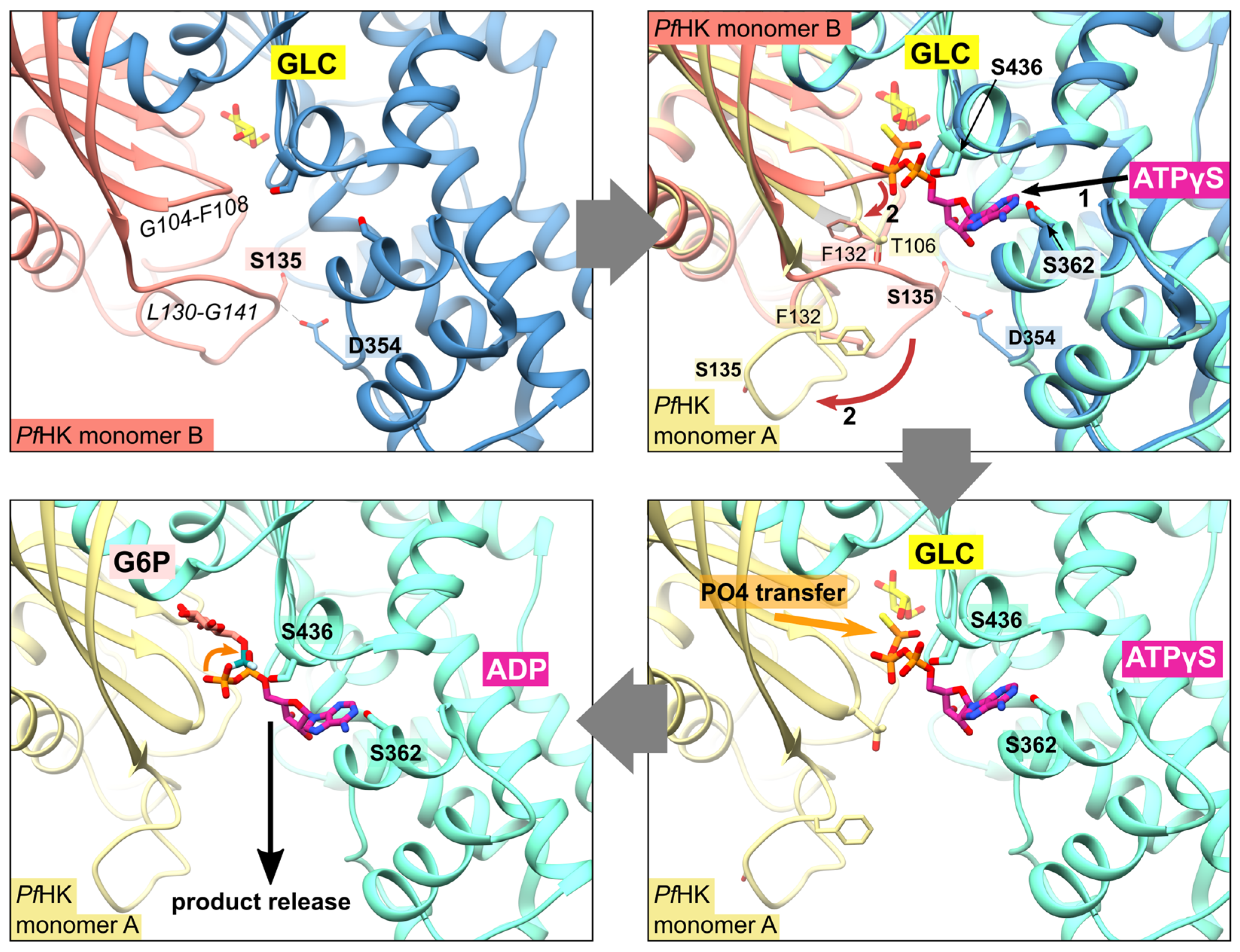 Preprints 81267 g005