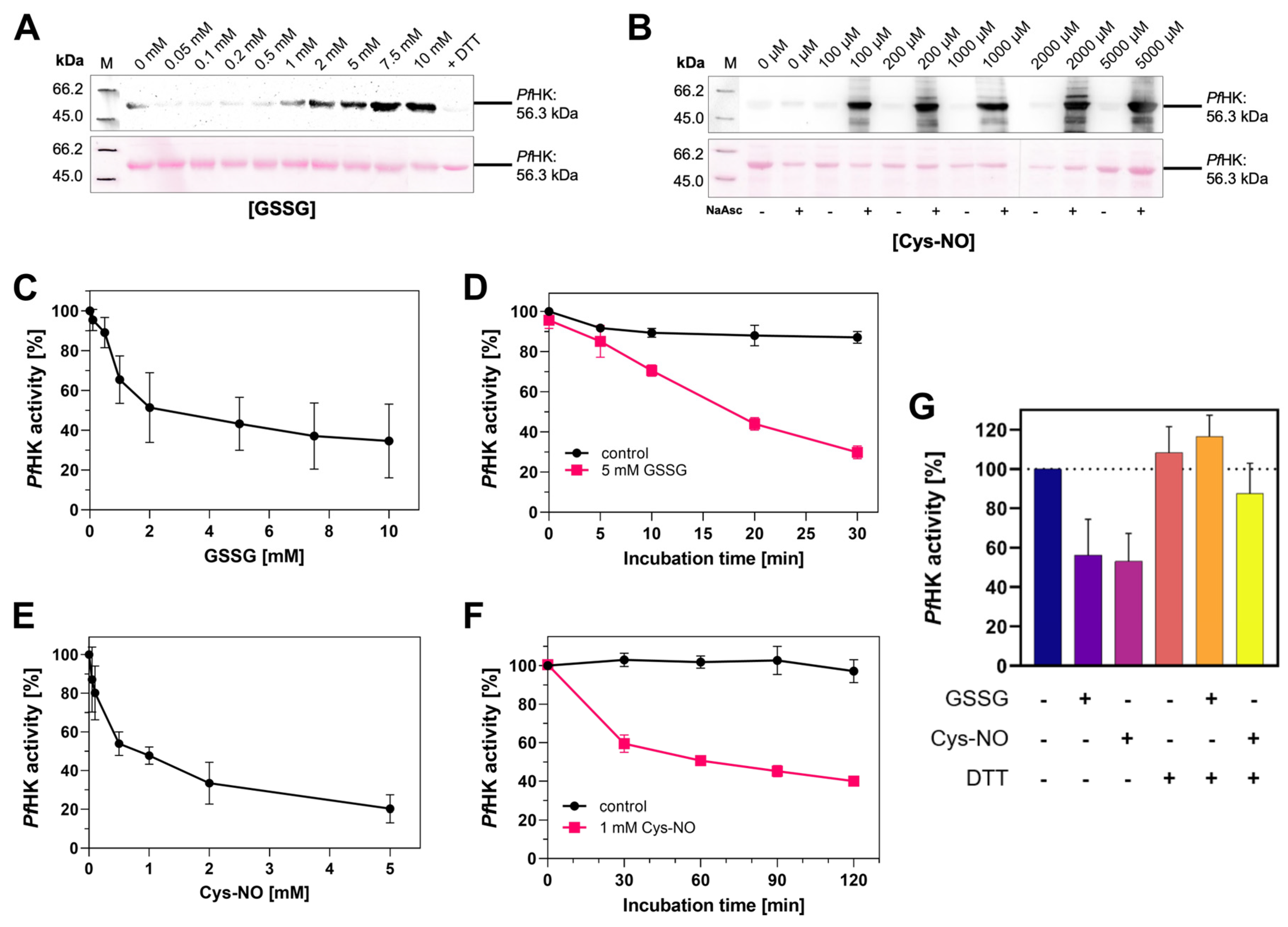 Preprints 81267 g008