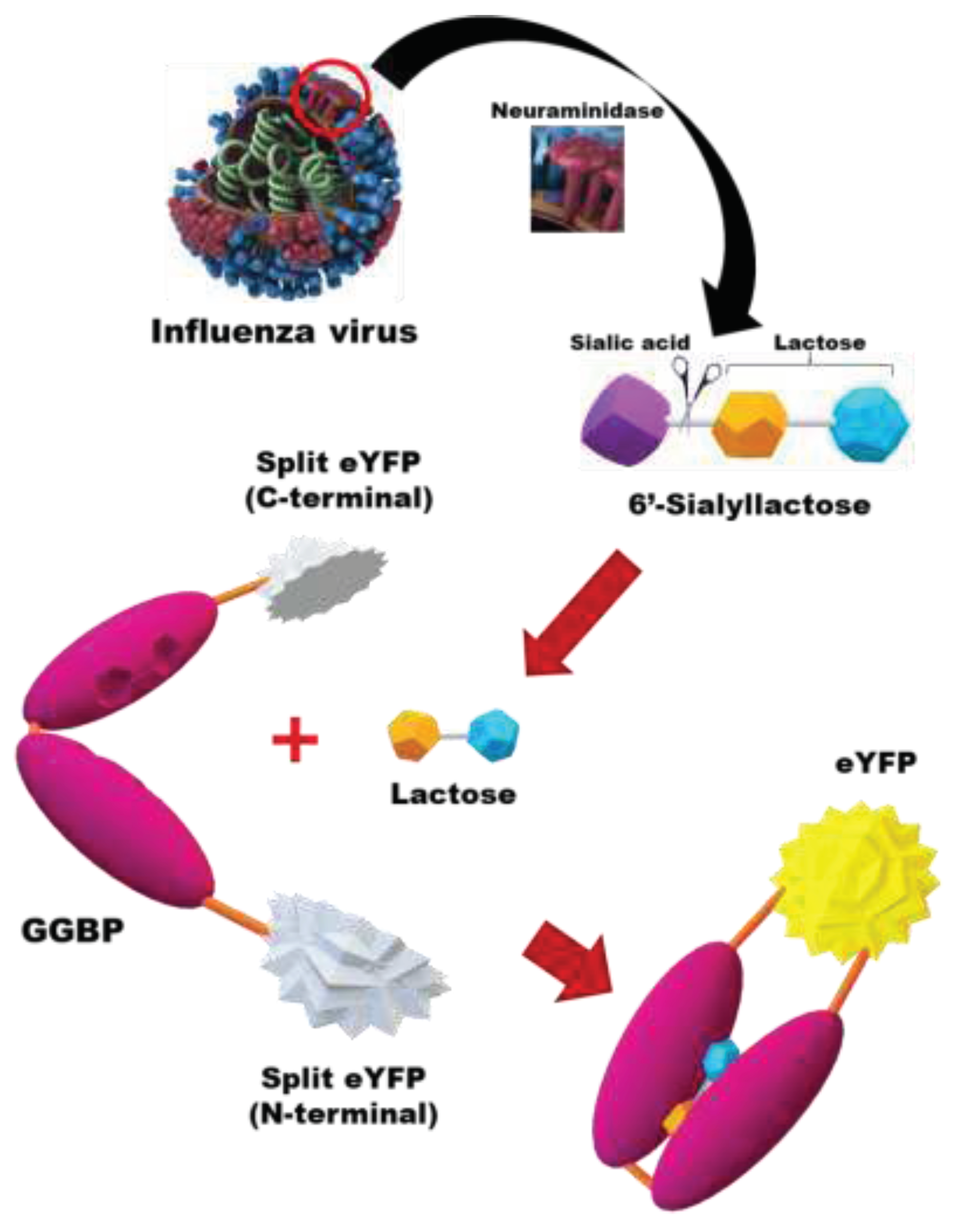 Preprints 77958 g001