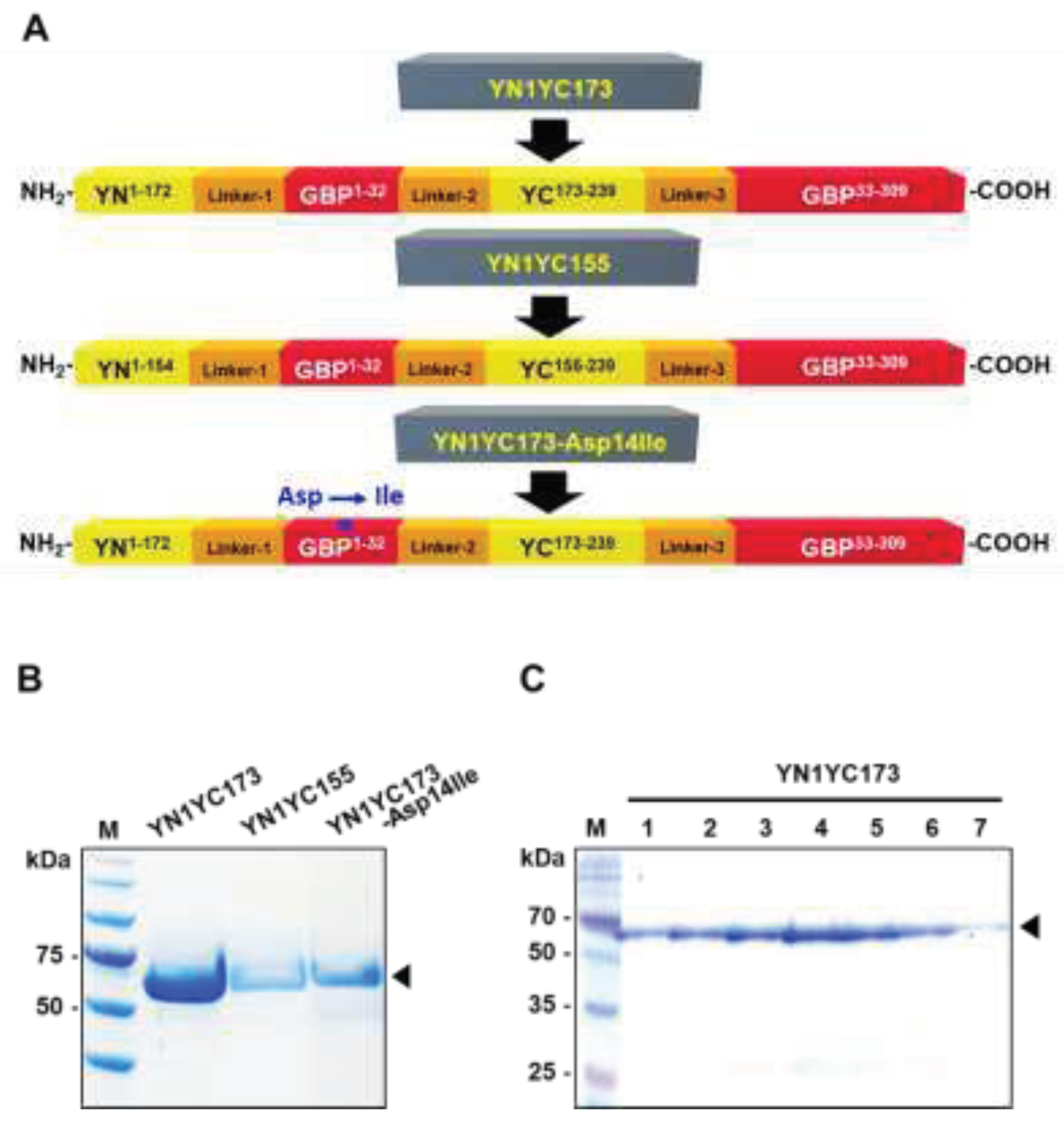 Preprints 77958 g002