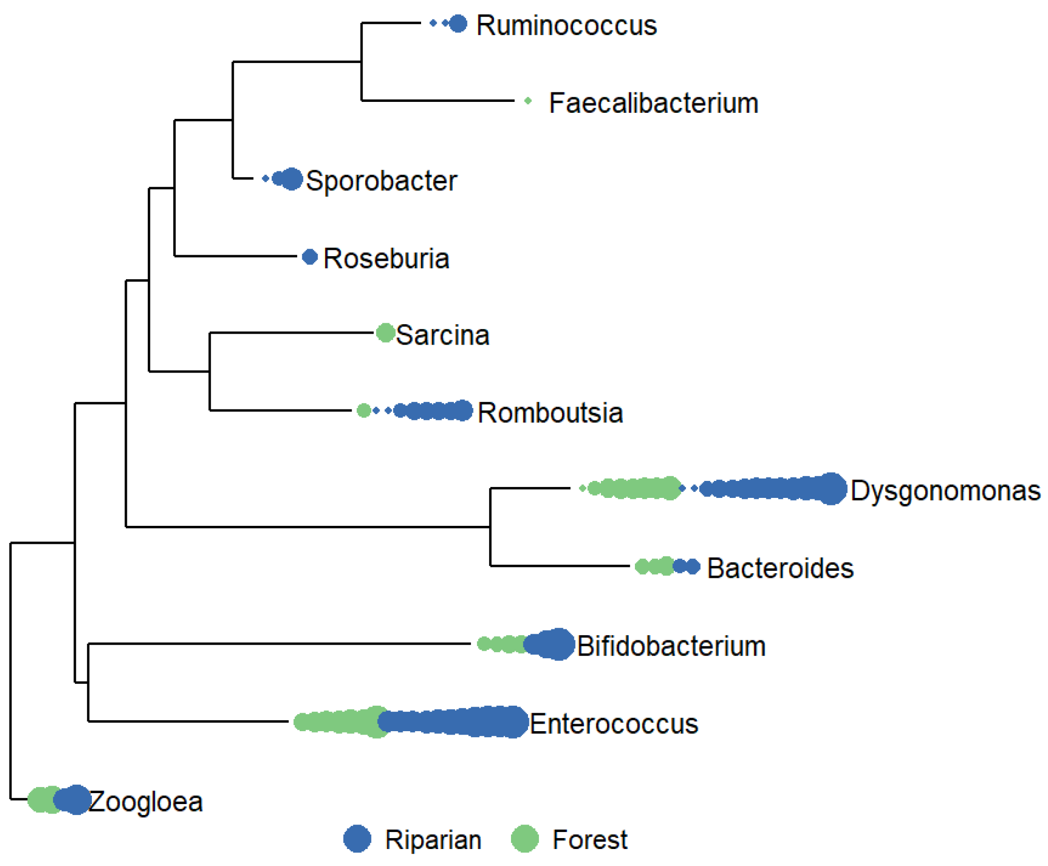 Preprints 108505 g004