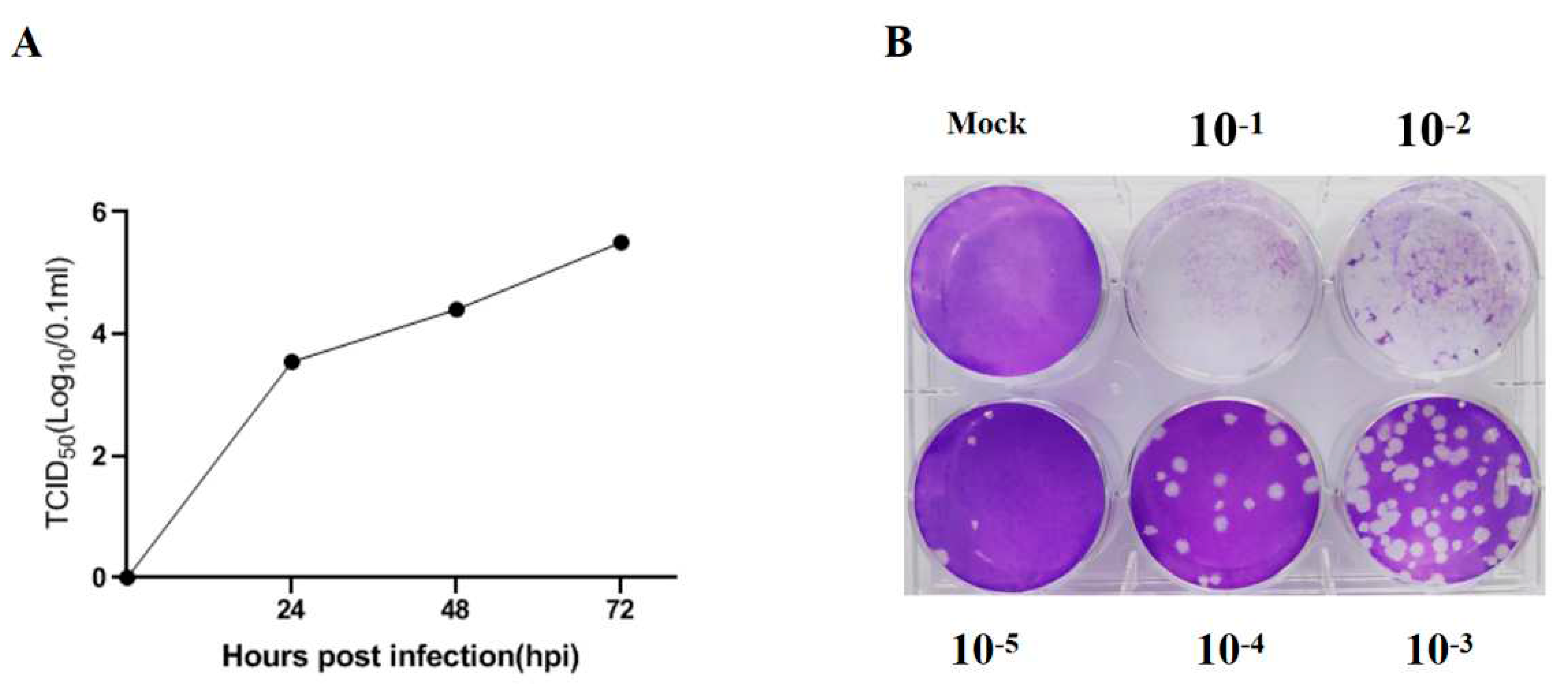 Preprints 78710 g001