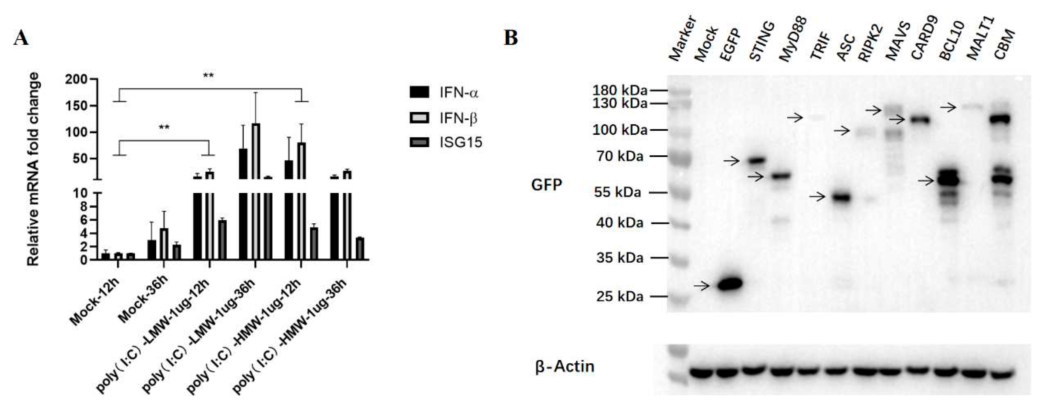 Preprints 78710 g002