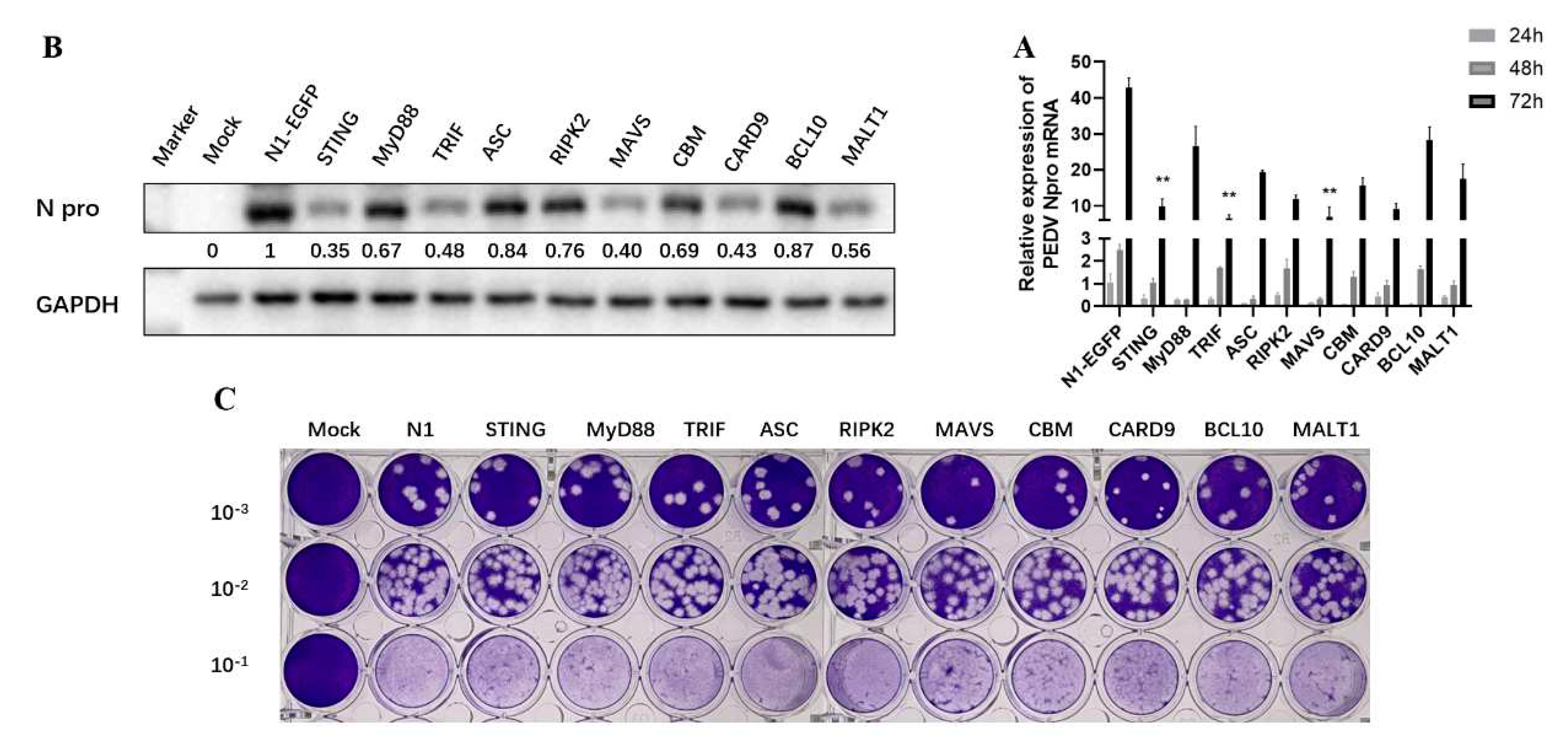 Preprints 78710 g003