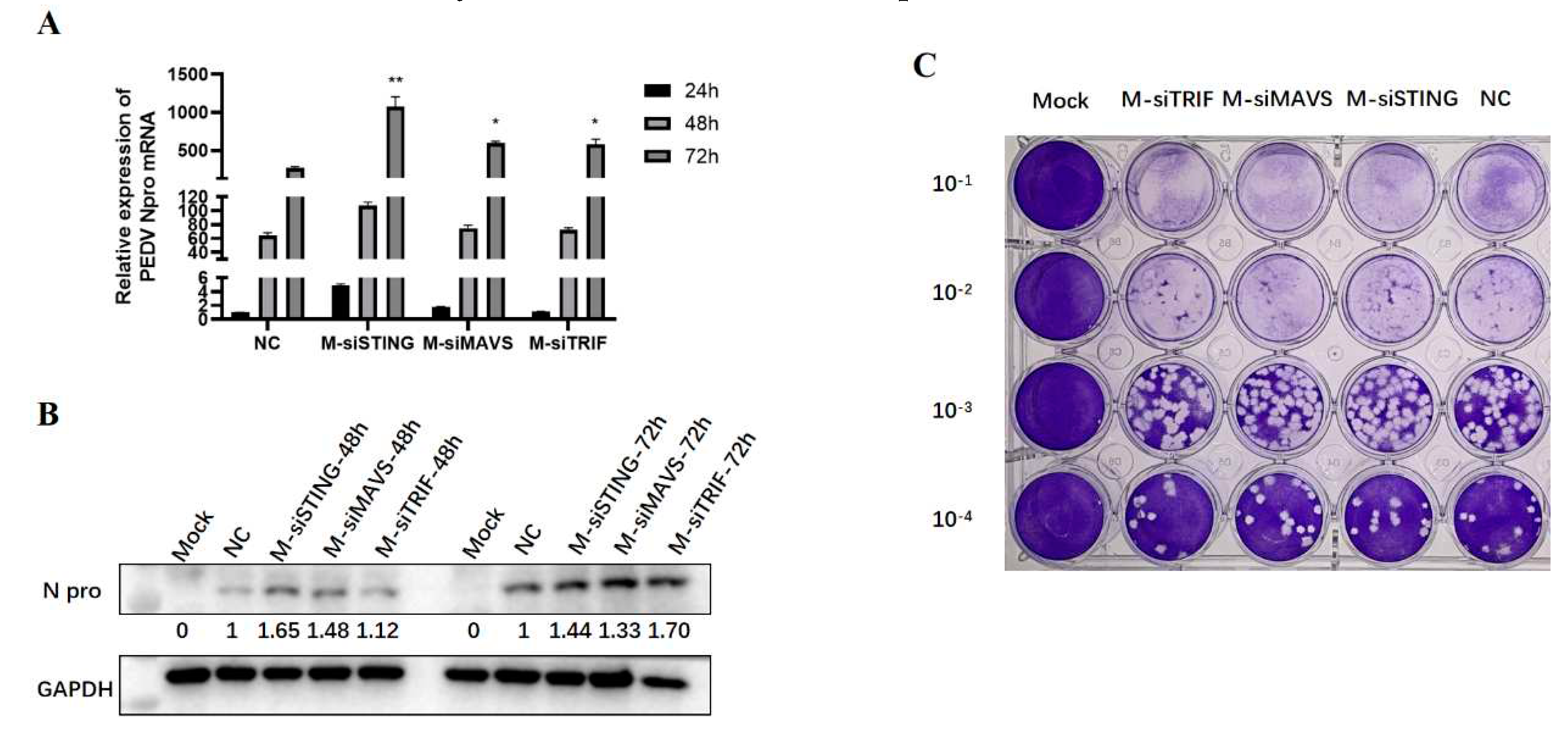 Preprints 78710 g005