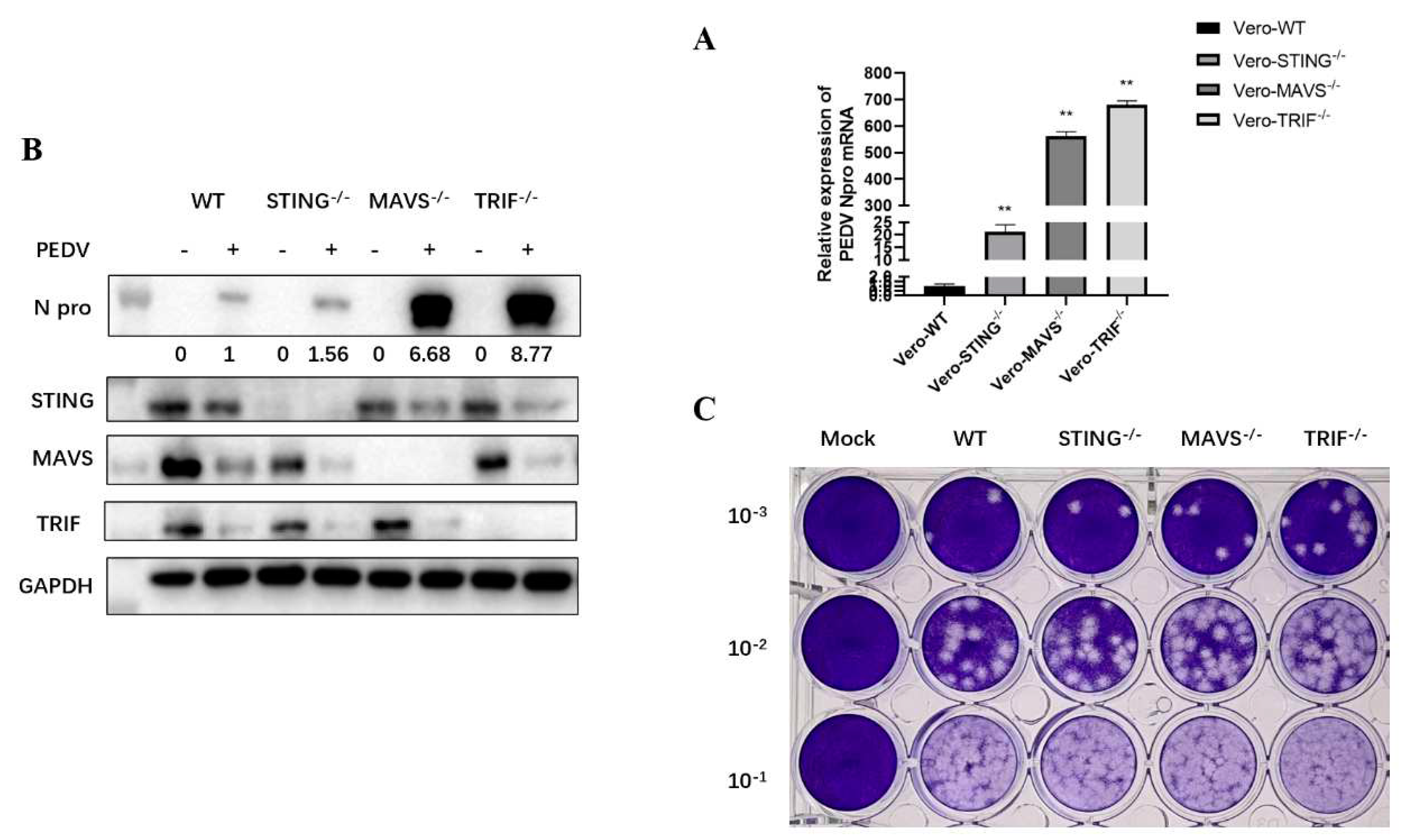 Preprints 78710 g006