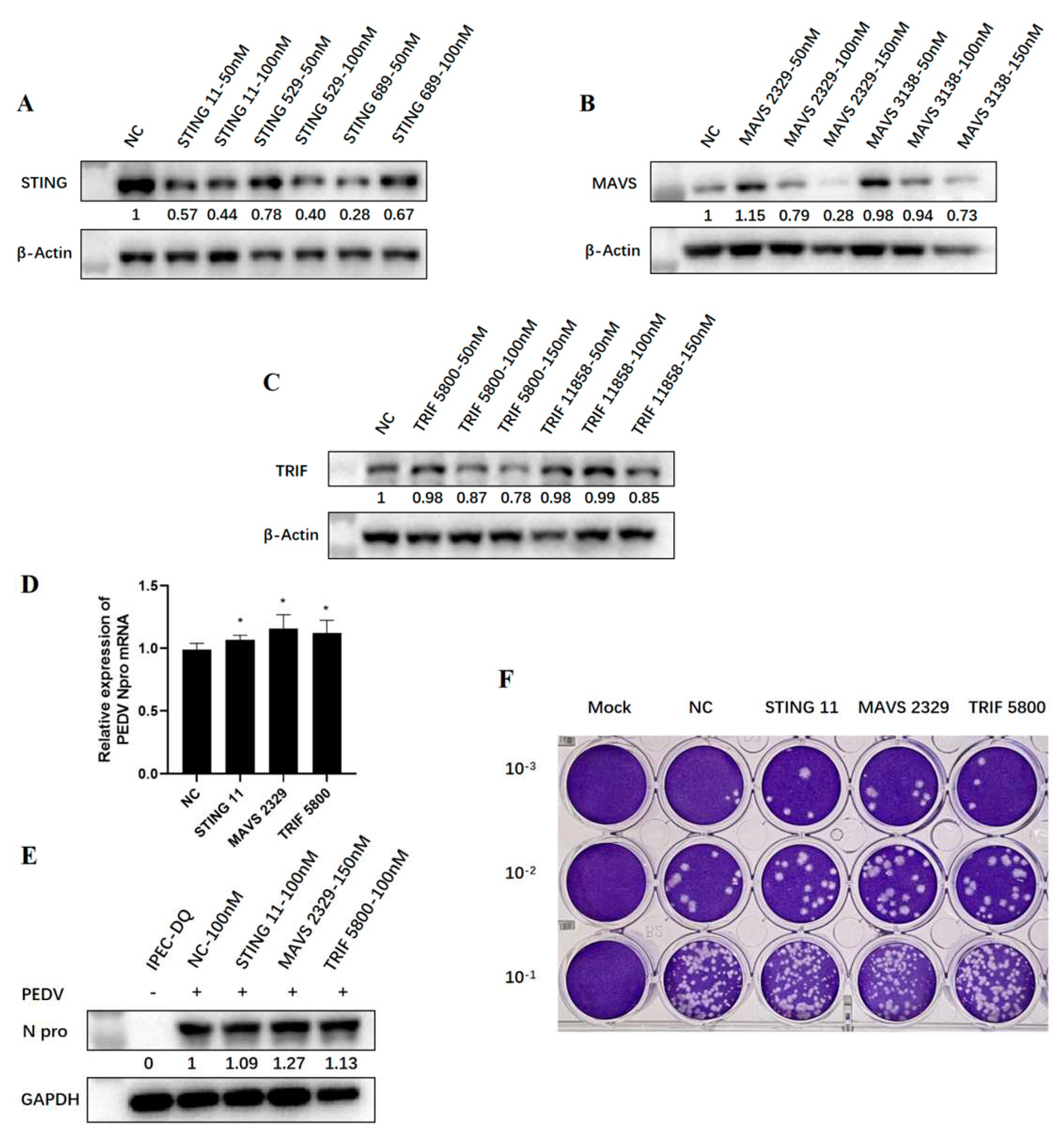 Preprints 78710 g007