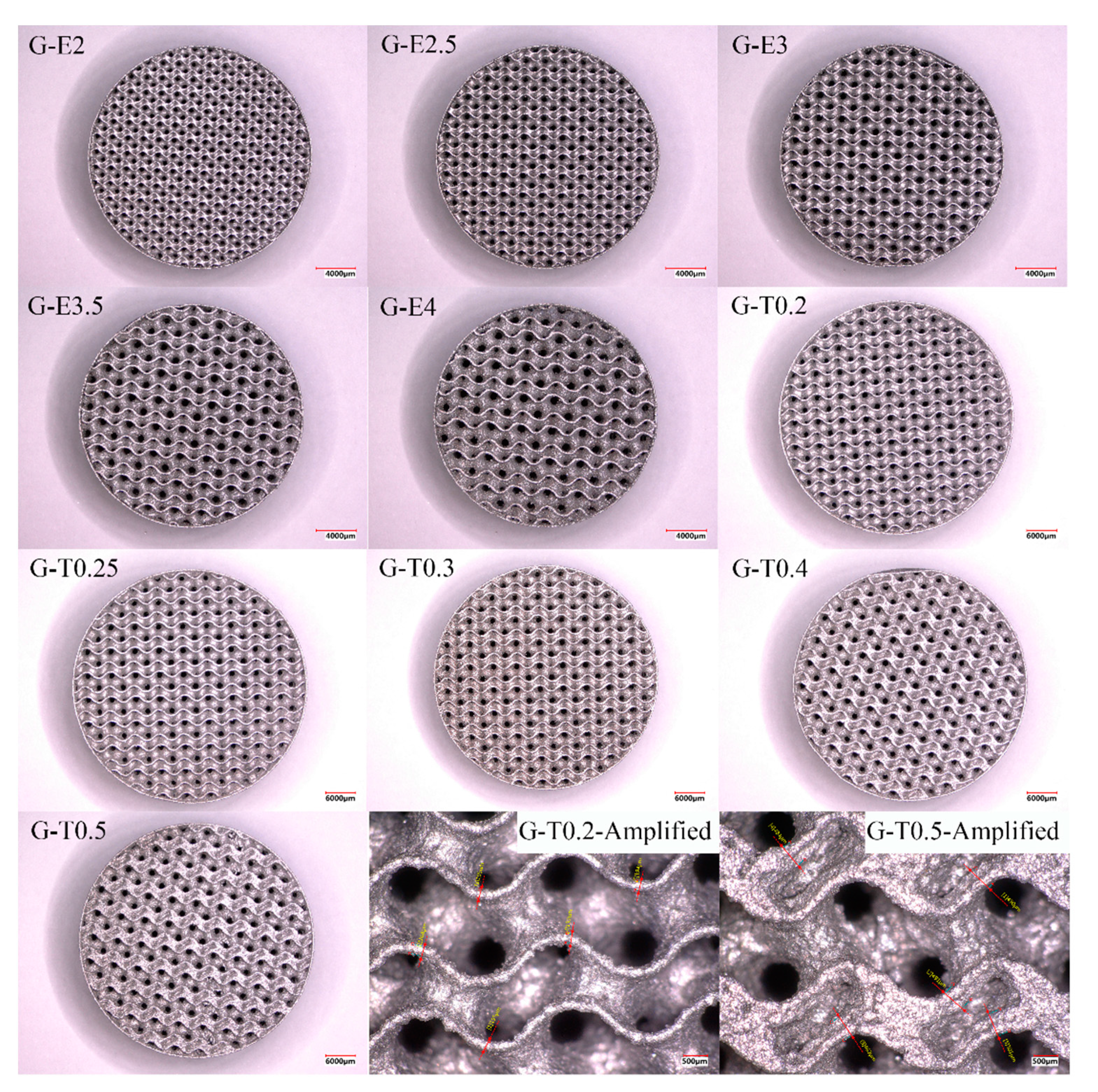 Preprints 85761 g007