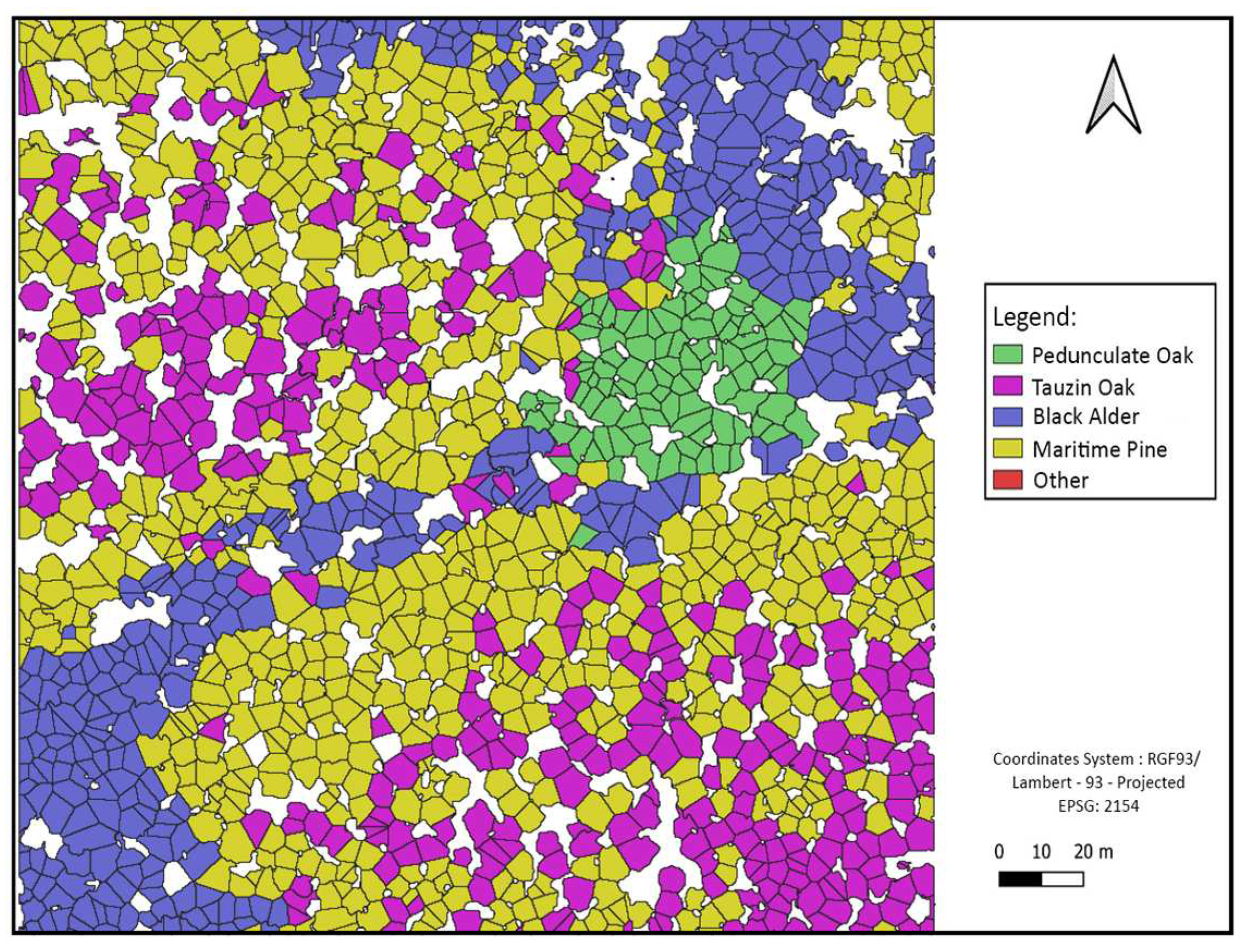 Preprints 95206 g011