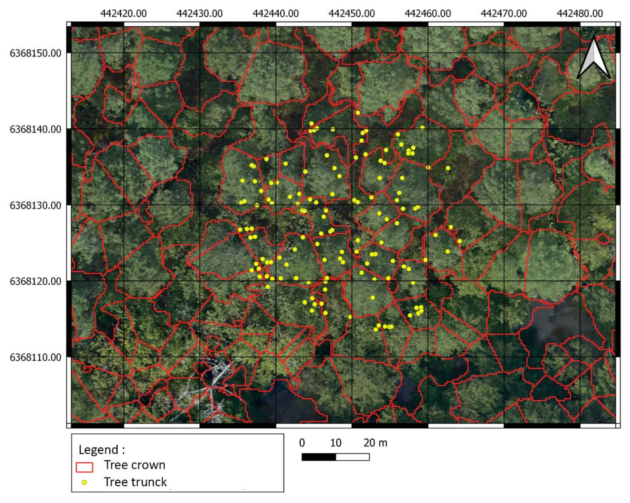 Preprints 95206 g014