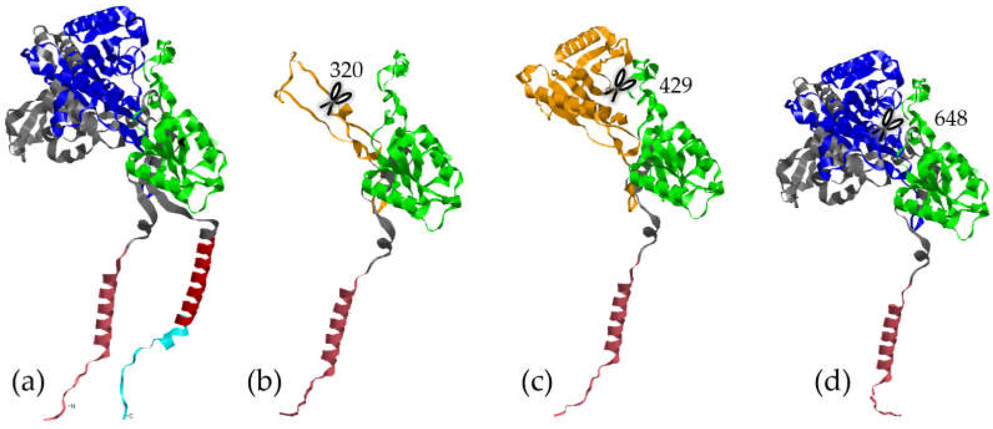 Preprints 114390 g001