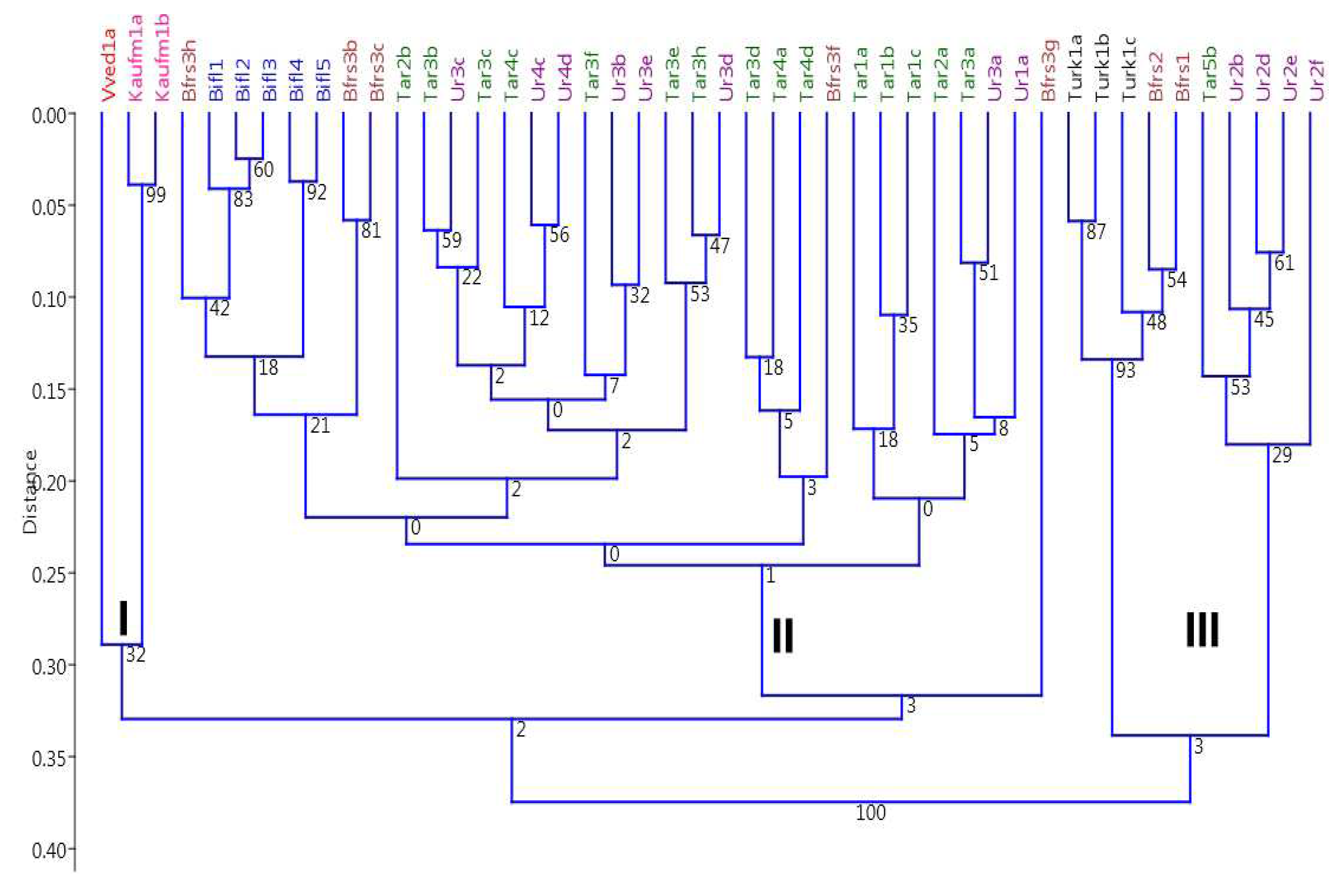 Preprints 75181 g001