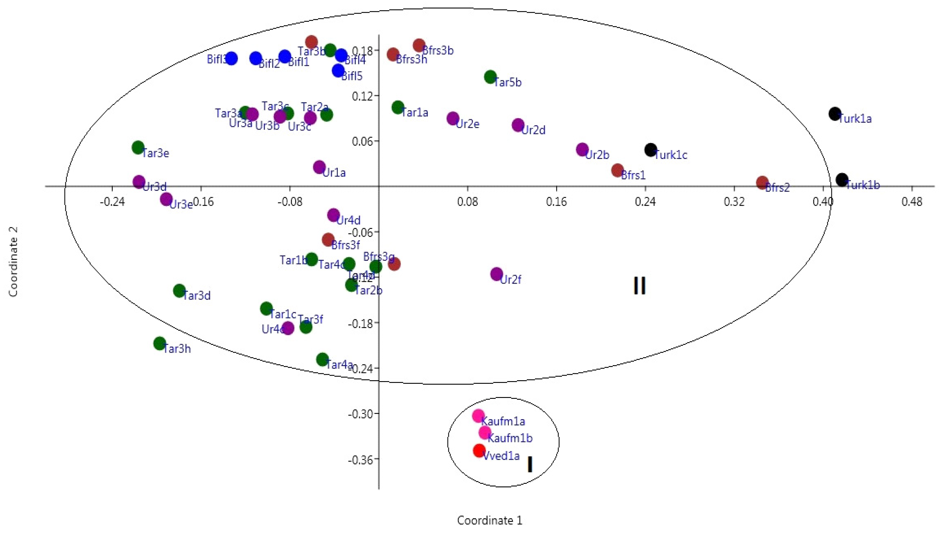 Preprints 75181 g002