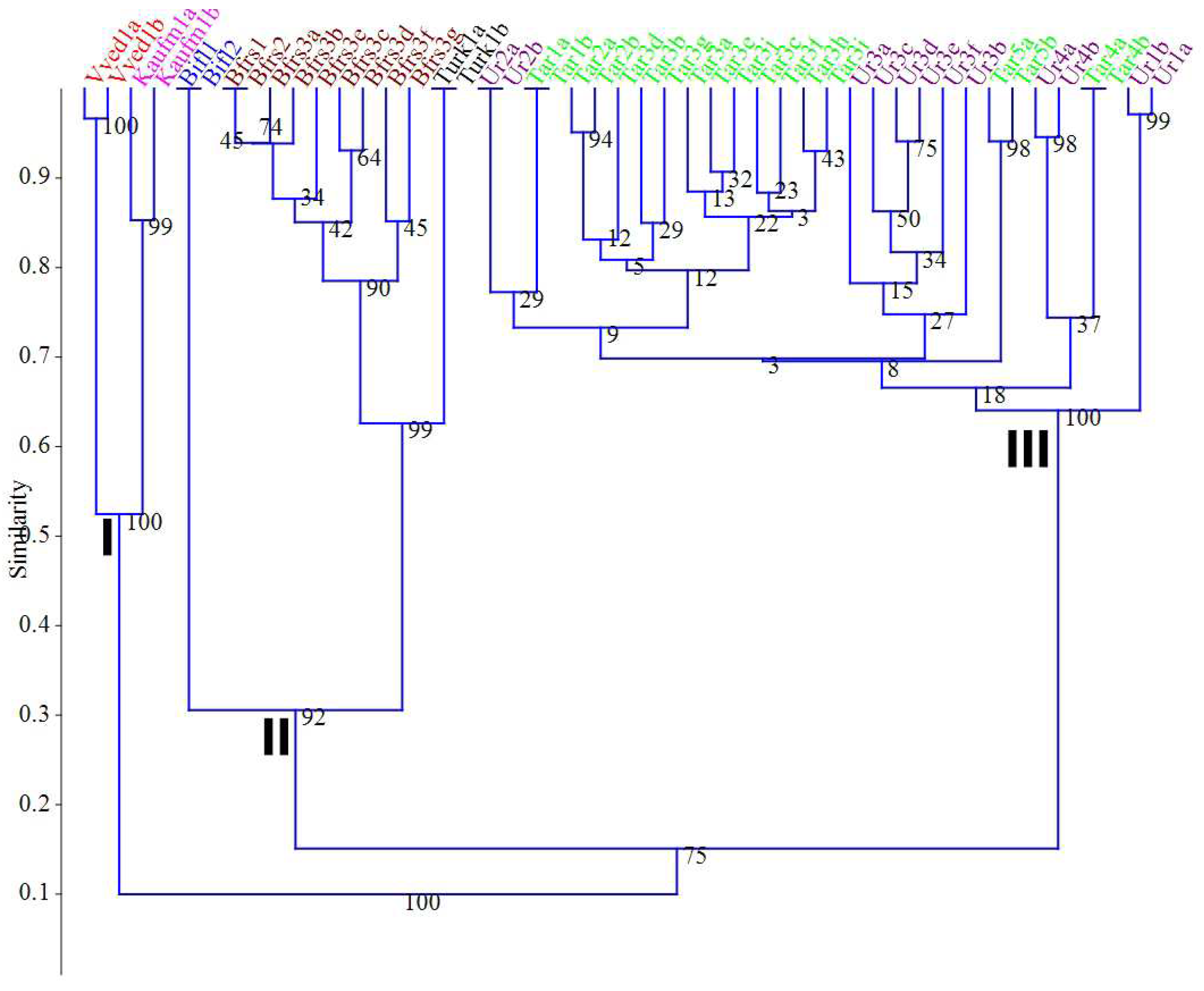 Preprints 75181 g003