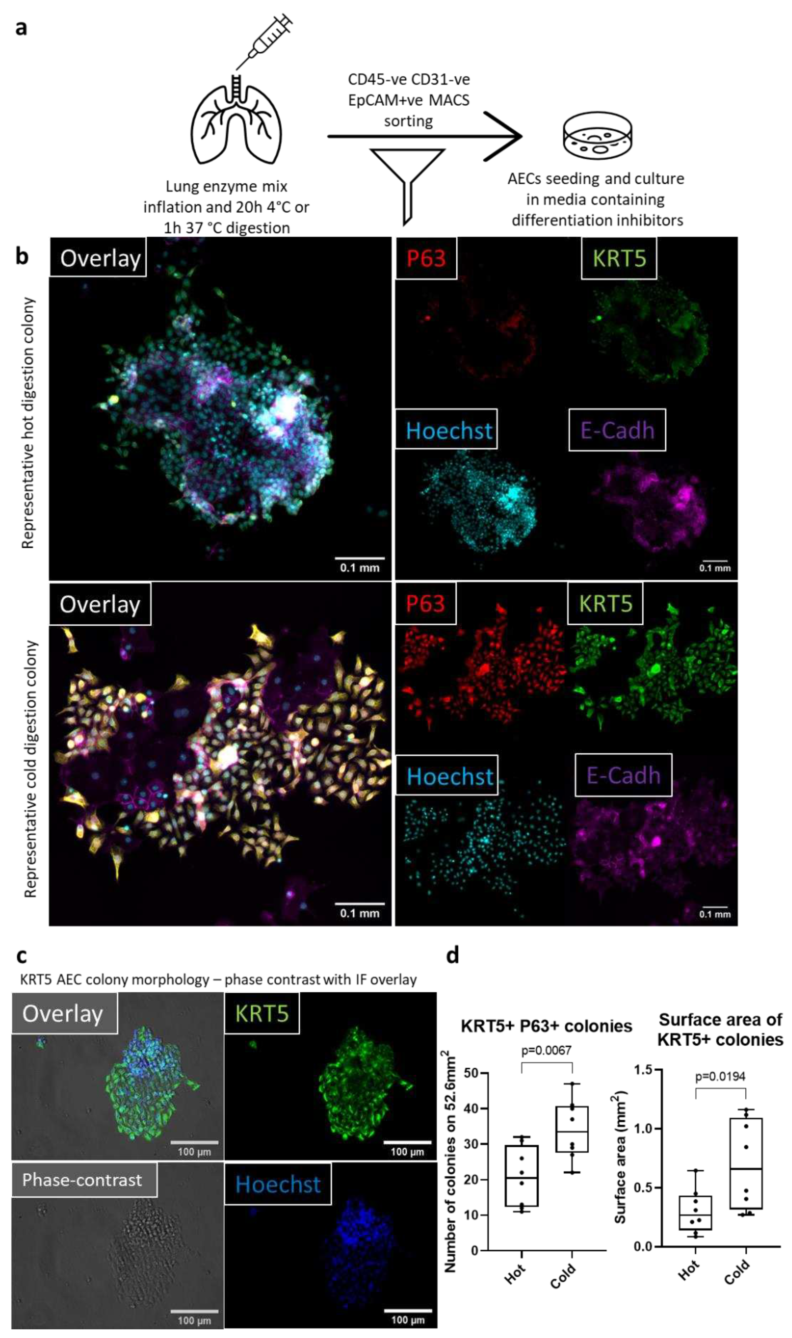 Preprints 79111 g003