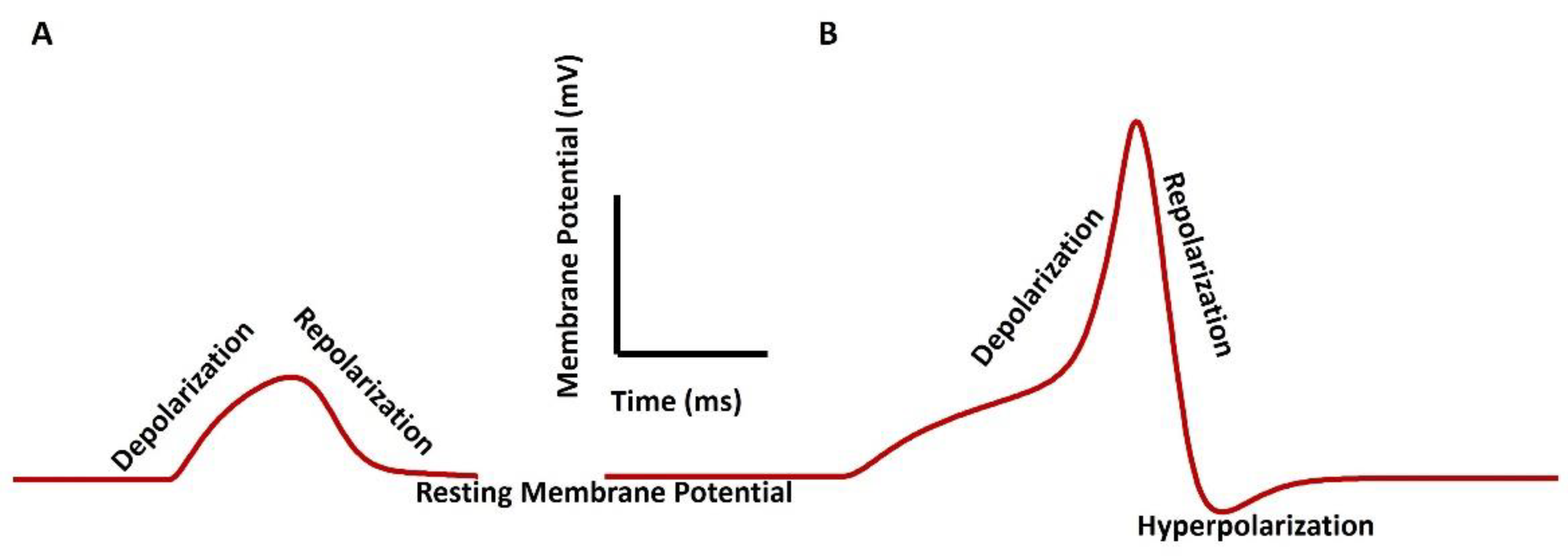 Preprints 102378 g002